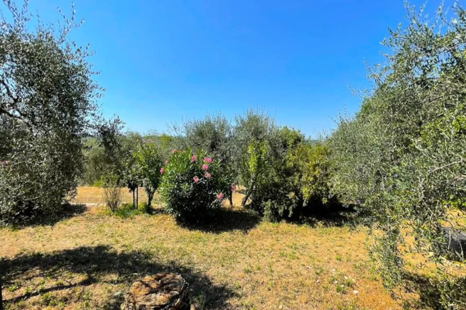 Charmant Mas 6 Pers &agrave; Peymeinade - 20 Min De Cannes-Niet-getagd