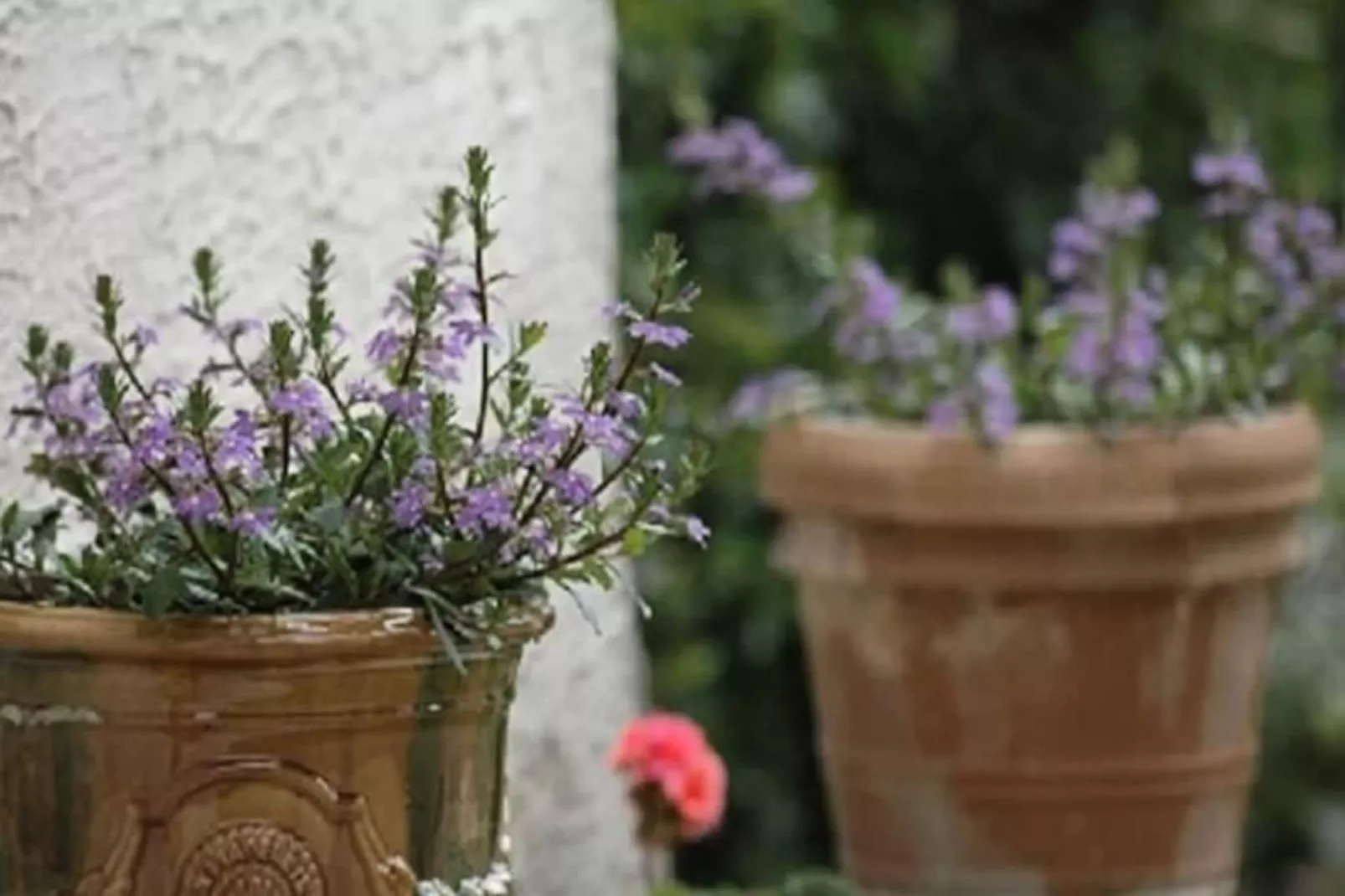 Résidence La Maison De Constance - Charmante Maison Proven&ccedil;ale 3 Chambres-Niet-getagd