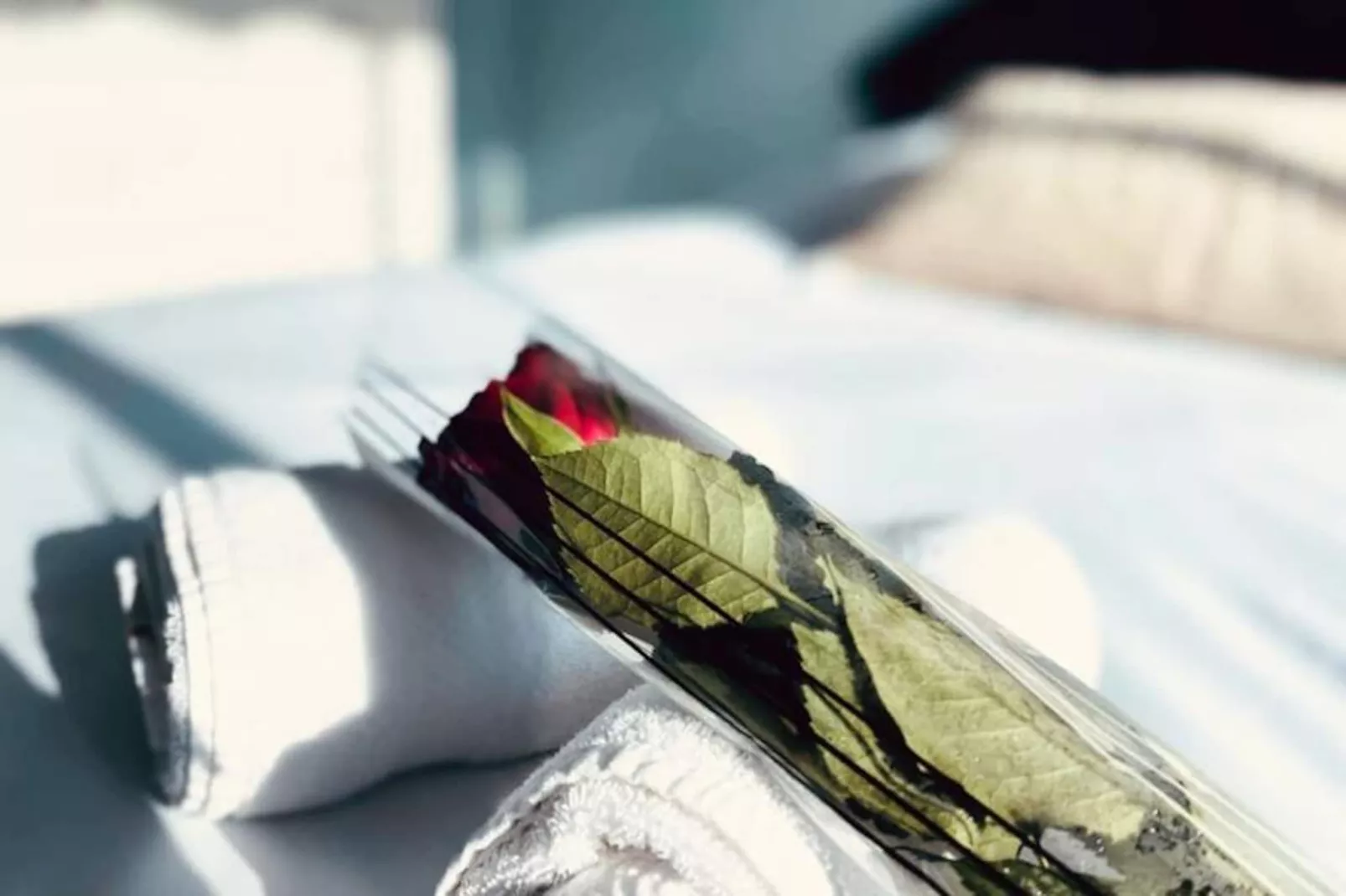 Résidence Le Flamant Appartement 2 Chambres Dernier &eacute;tage Vue Mer-Niet-getagd