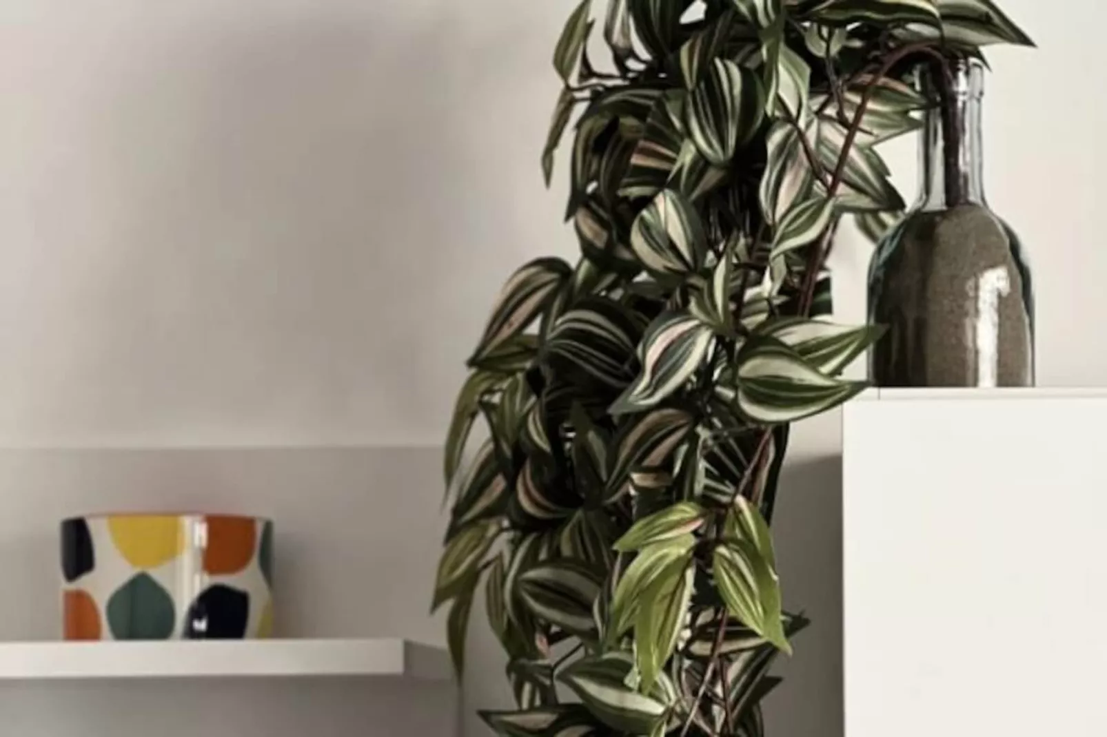 Résidence Villa Marie 2: Appartement Tout Confort Climatis&eacute; 1 Chambre Proche Plage-Niet-getagd