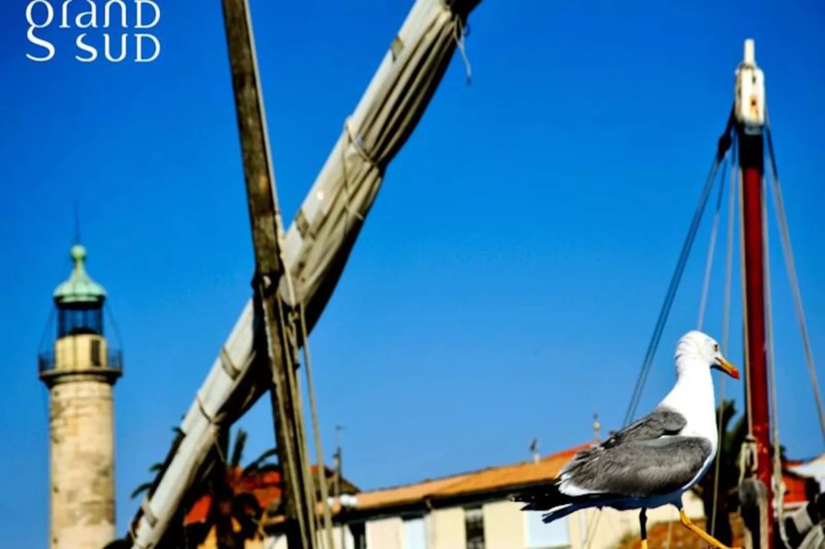 Résidence Tellines - Appartement  Avec Petite Vue Mer-Niet-getagd