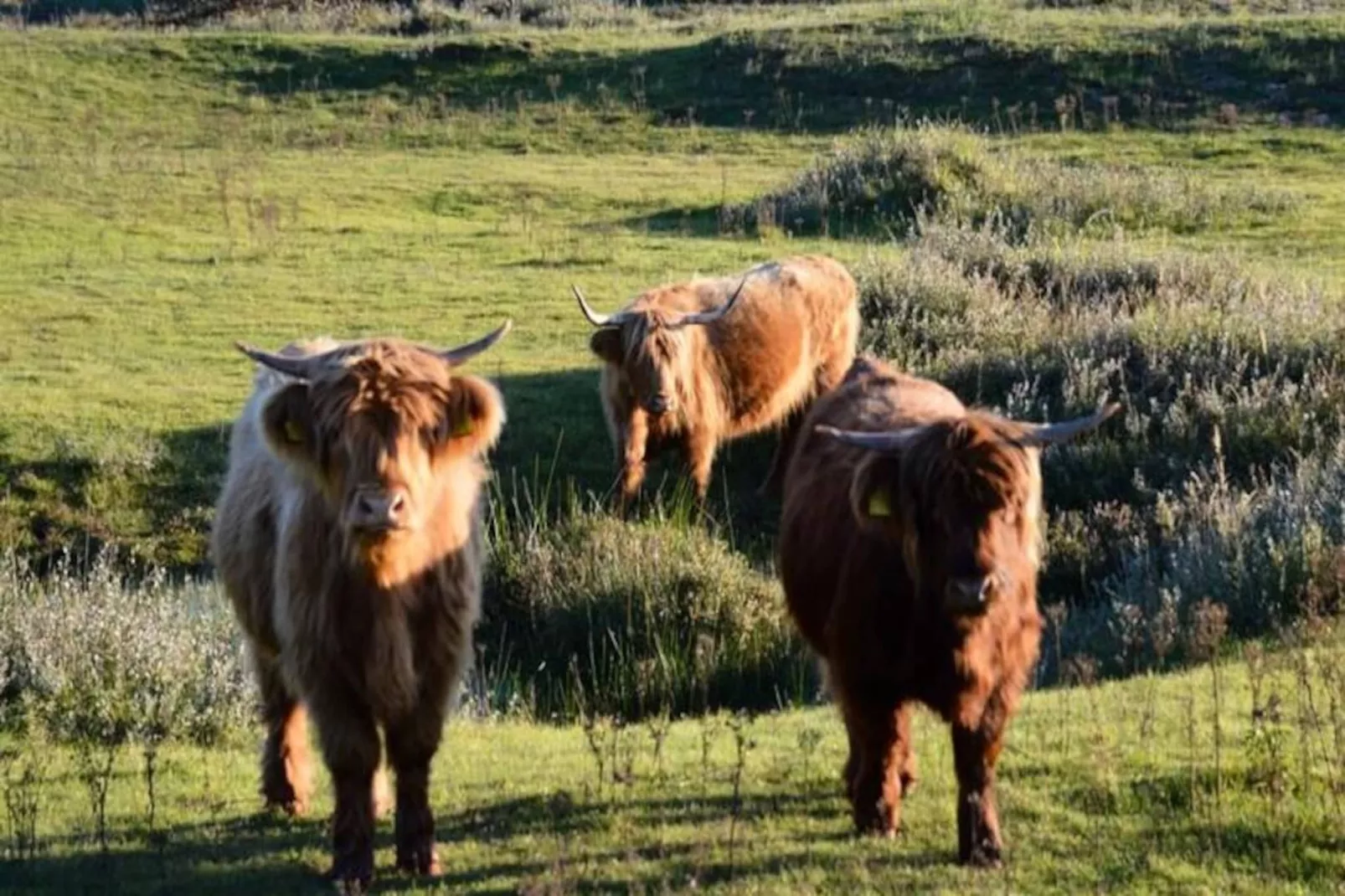 Cute Beach House-Niet-getagd