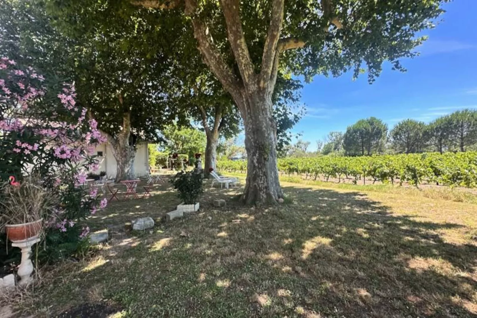 Résidence G&icirc;te Du Mas - Charmant G&icirc;te Proven&ccedil;al Avec Jardin Commun-Niet-getagd