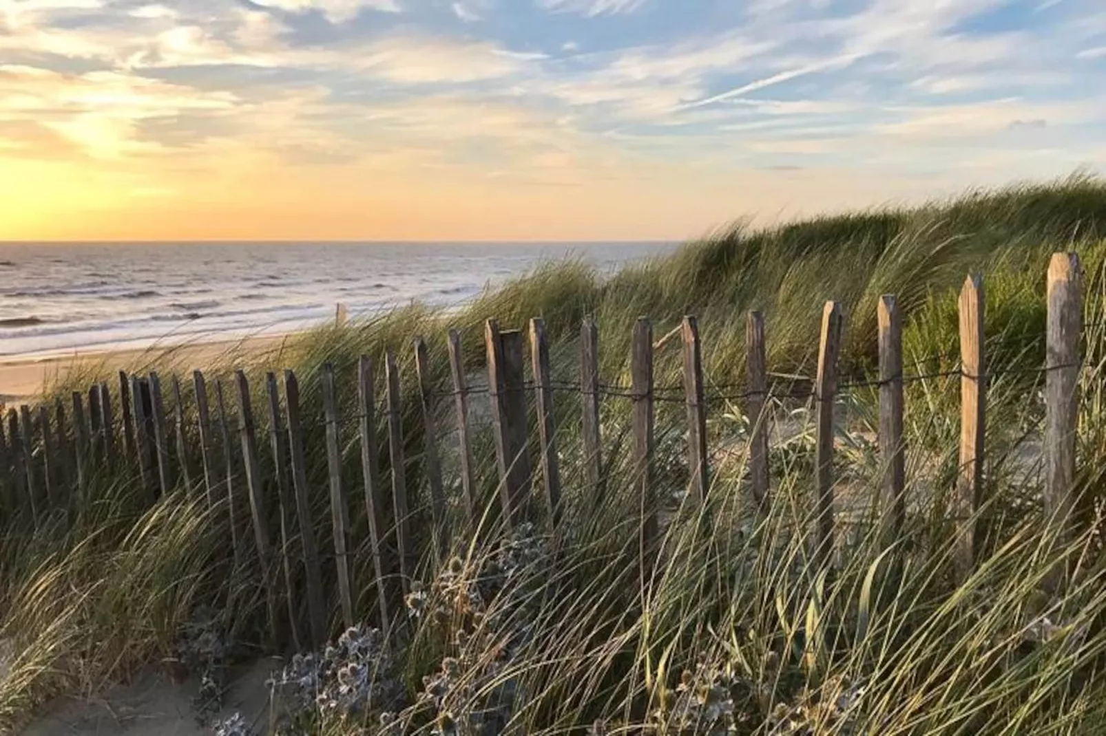 Oasis Zandvoort - Parking Gratuit-Niet-getagd