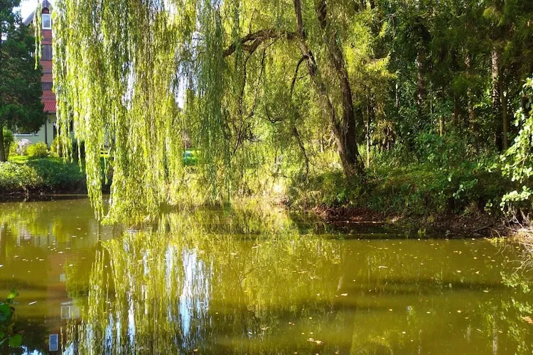 Dom wakacyjny w Szymbarku dla max 8 osób-Tuinen zomer