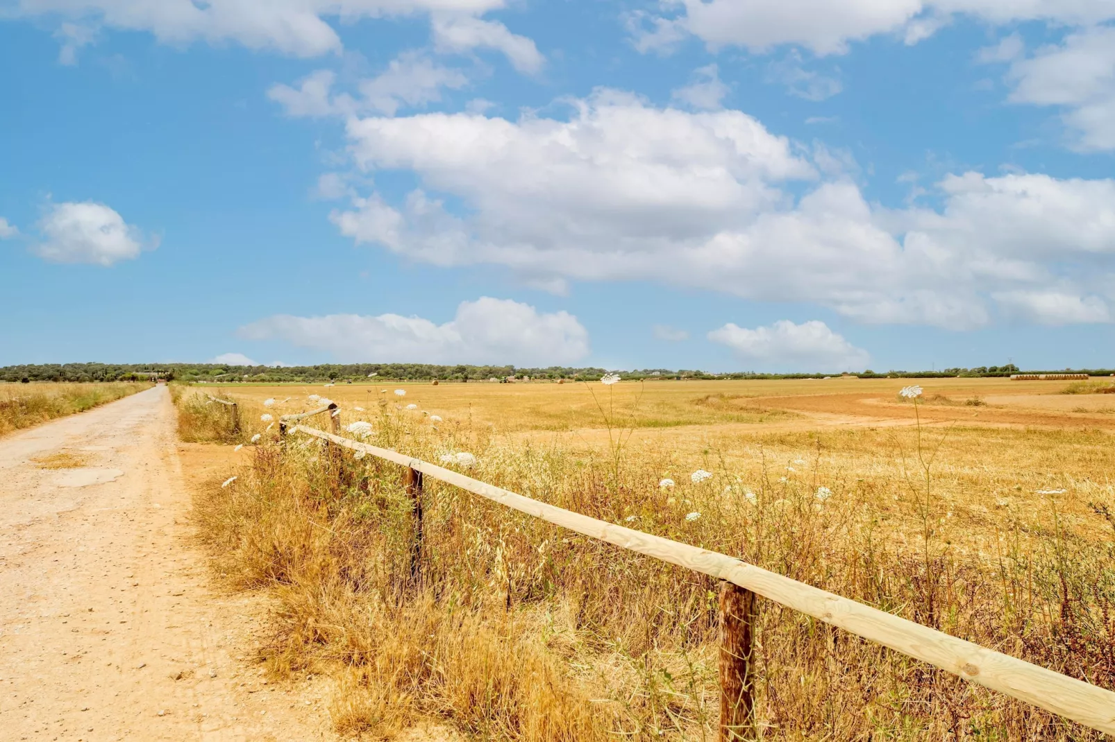 El Taller-Gebieden zomer 1km