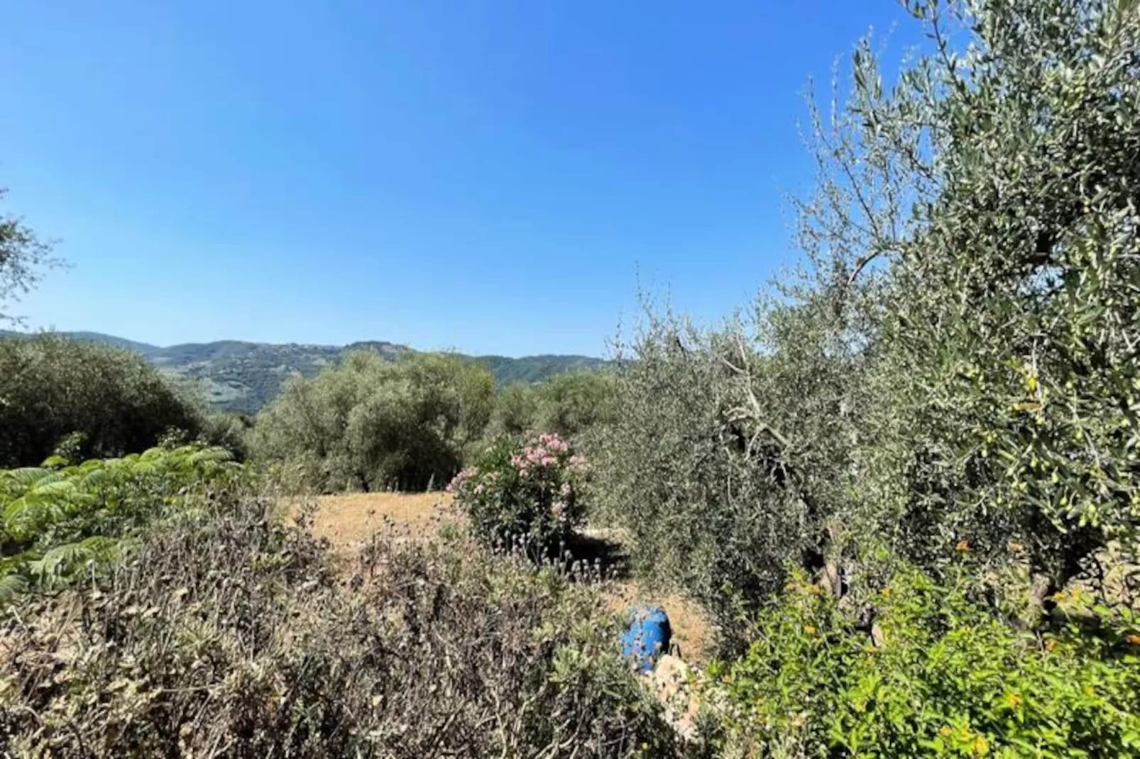 Charmant Mas 6 Pers &agrave; Peymeinade - 20 Min De Cannes-Niet-getagd