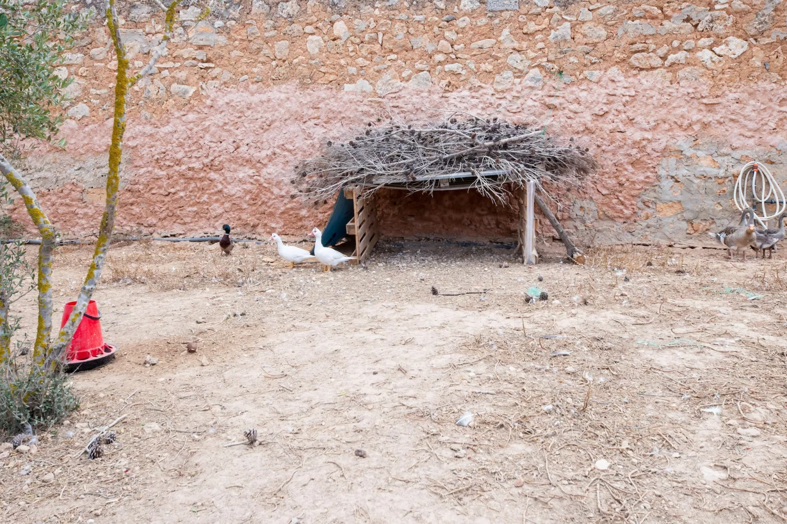 El Taller-Gebieden zomer 1km