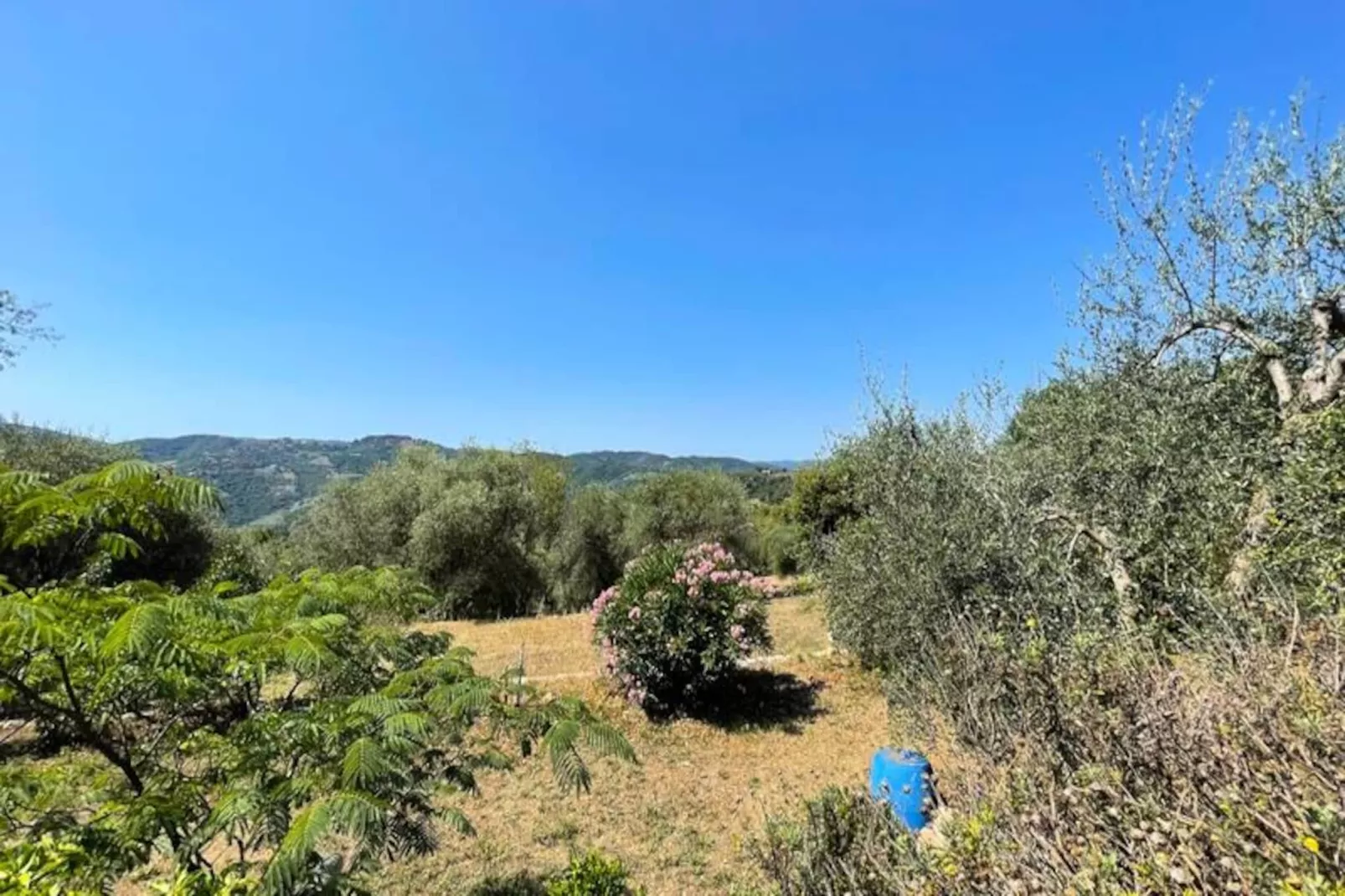 Charmant Mas 6 Pers &agrave; Peymeinade - 20 Min De Cannes-Niet-getagd