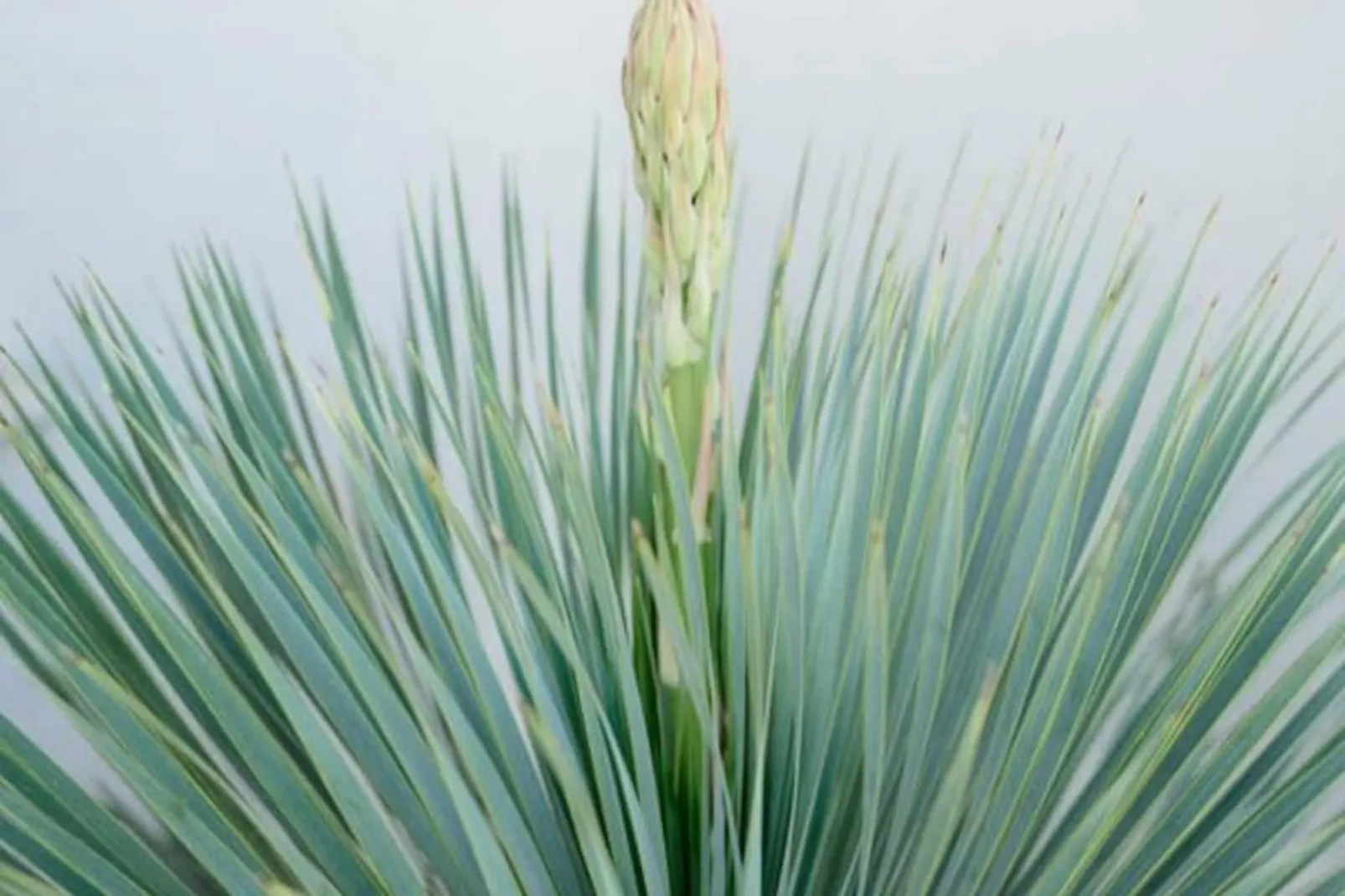 Résidence La Perle Rose Villa Standing 5 &eacute;toiles Avec Piscine Jacuzzi Et Superbe Vue-Niet-getagd