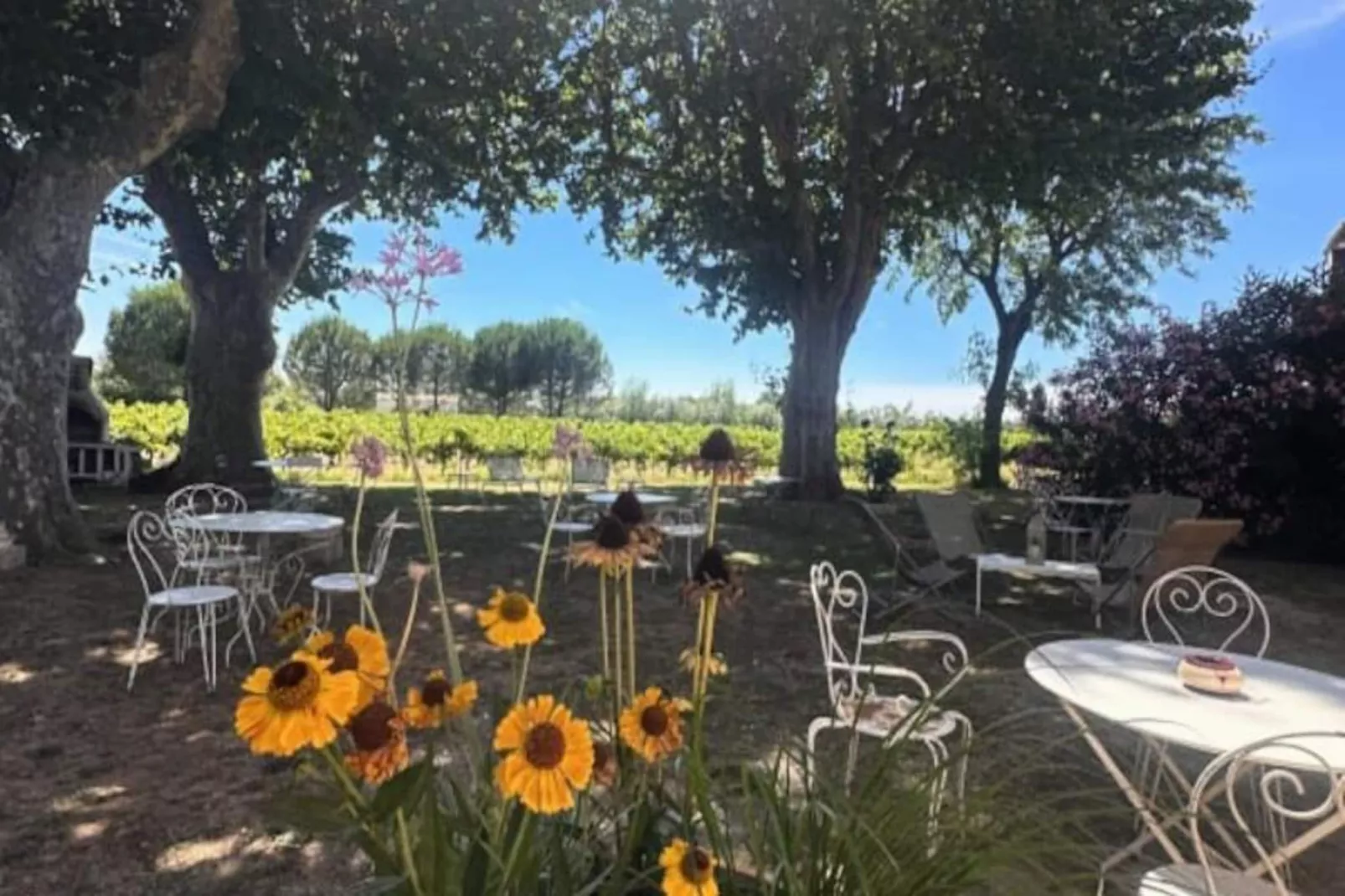 Résidence G&icirc;te Du Mas - Charmant G&icirc;te Proven&ccedil;al Avec Jardin Commun-Niet-getagd