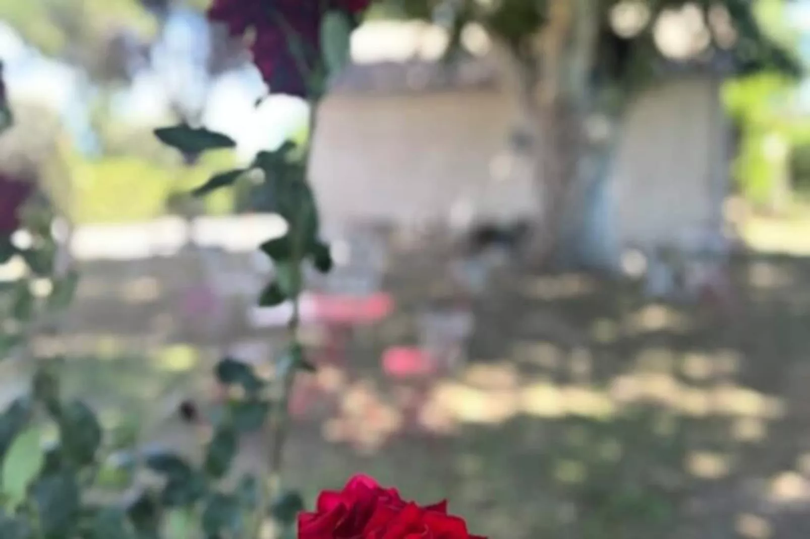 Résidence G&icirc;te De La Cave - Charmant G&icirc;te Proven&ccedil;al Avec Une Chambre-Niet-getagd
