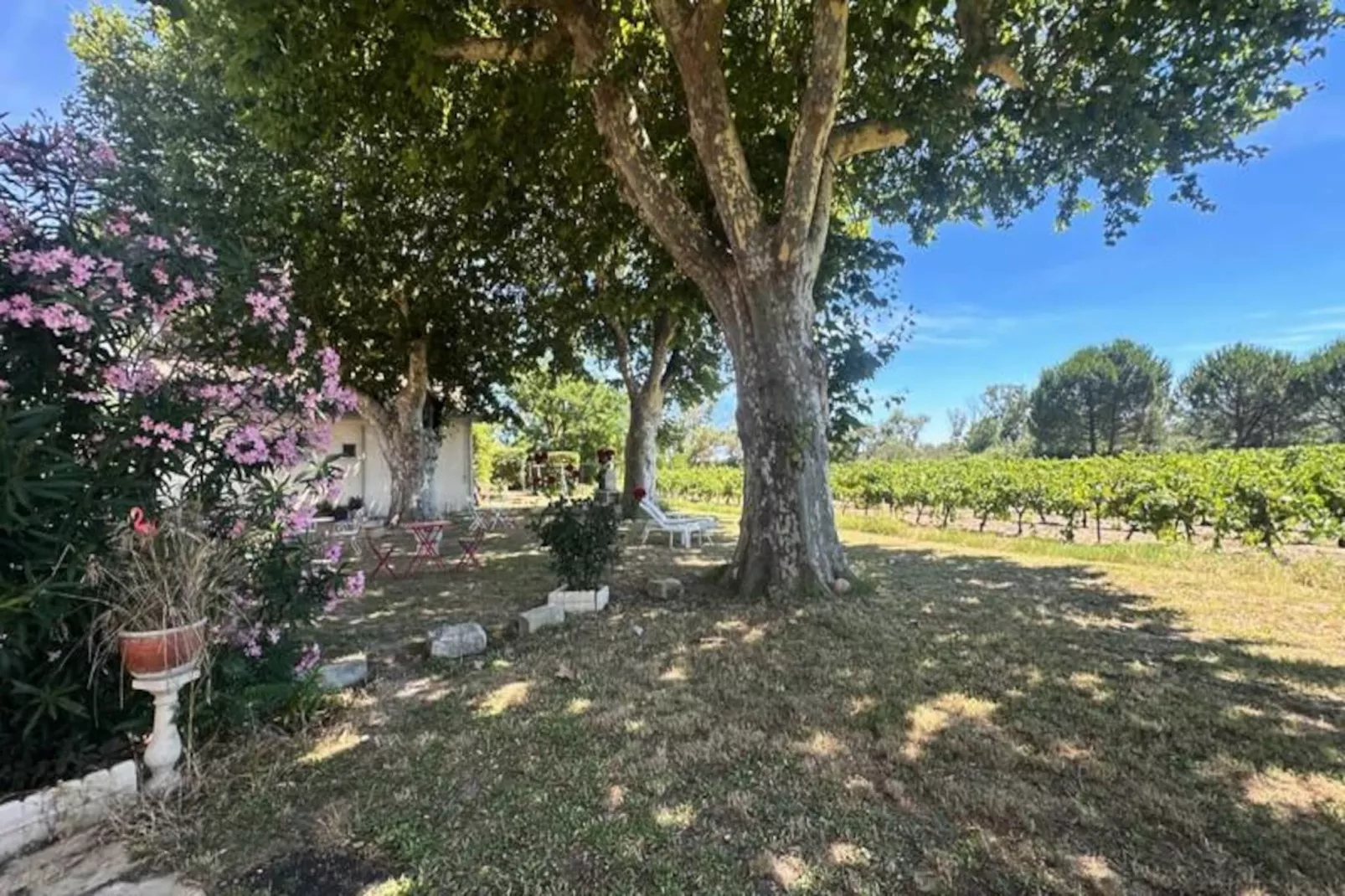 Résidence G&icirc;te De La Cave - Charmant G&icirc;te Proven&ccedil;al Avec Une Chambre-Niet-getagd