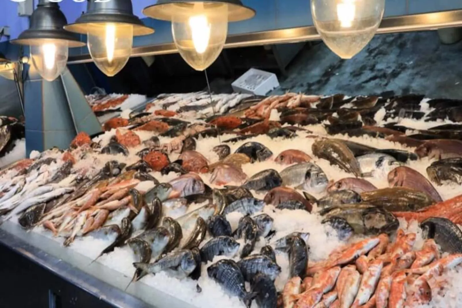 Résidence Le Reflet Des Mers - P3 Premi&egrave;re Ligne Vue Mer Et Parking-Niet-getagd