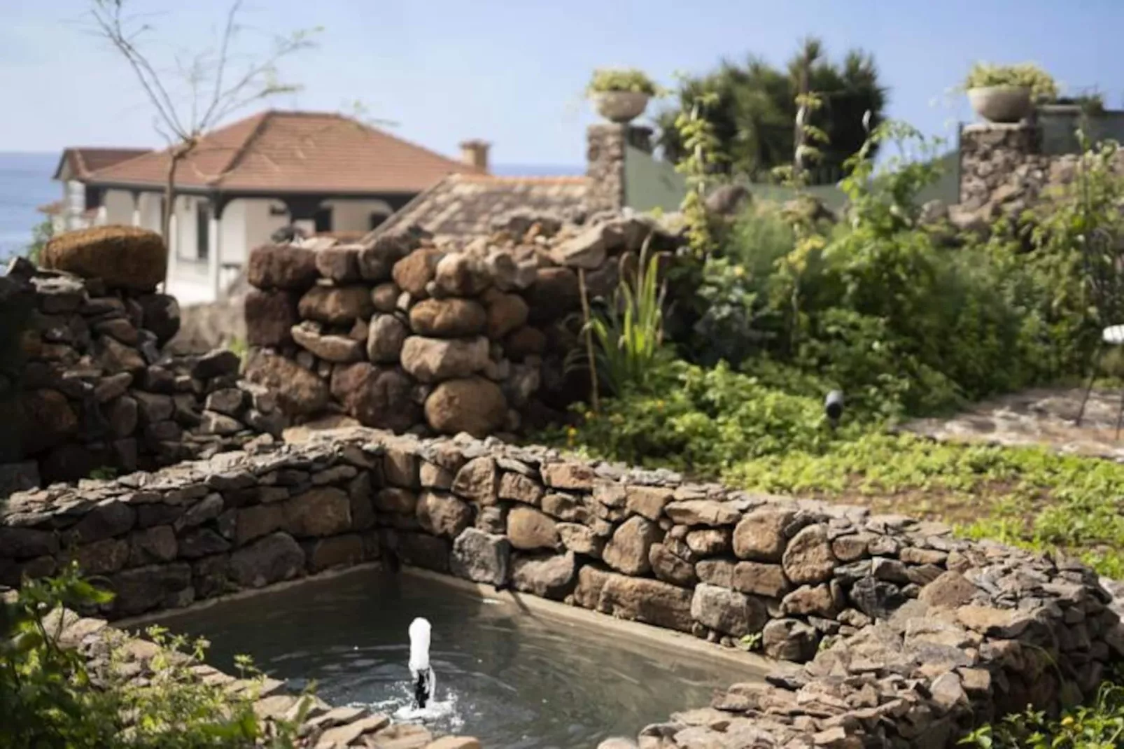 Résidence Quinta Marefe - Sur La Magnifique C&ocirc;te Ouest-Niet-getagd