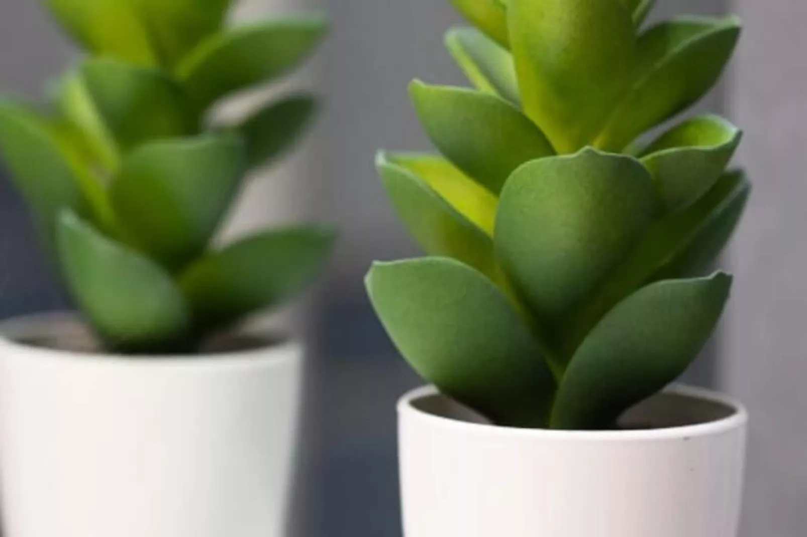 06k2 - Joli Studio Climatisé - Terrasse Vue Mer-Niet-getagd