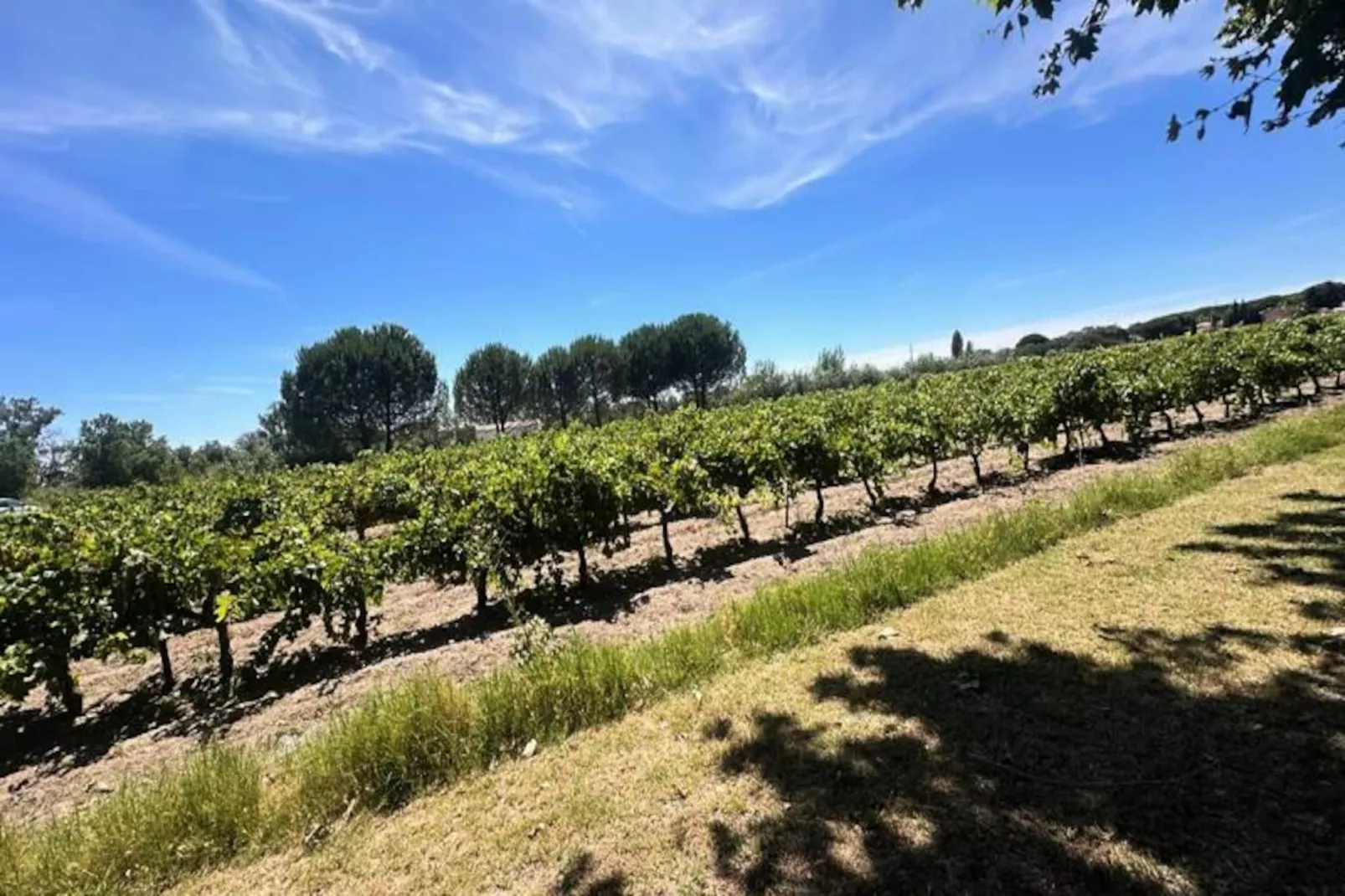 Résidence La Maison De Constance - Charmante Maison Proven&ccedil;ale 3 Chambres-Niet-getagd