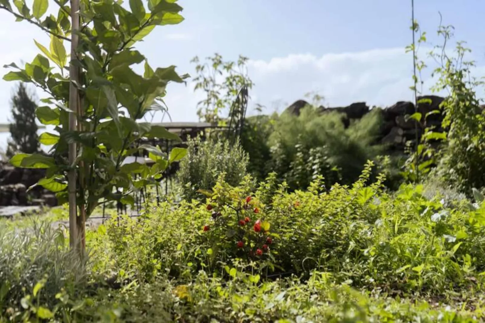 Résidence Quinta Marefe - Sur La Magnifique C&ocirc;te Ouest-Niet-getagd