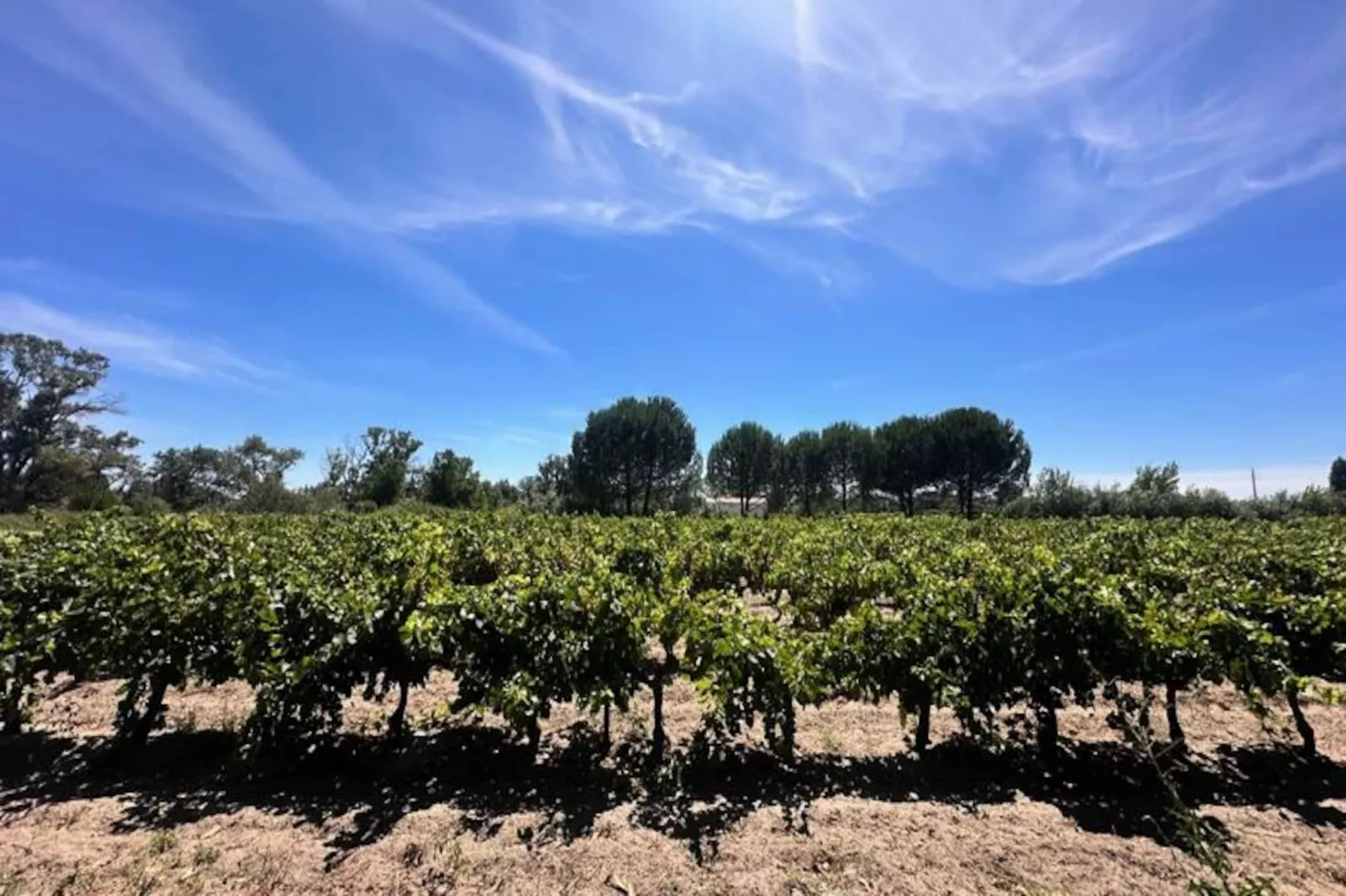 Résidence La Maison De Constance - Charmante Maison Proven&ccedil;ale 3 Chambres-Niet-getagd