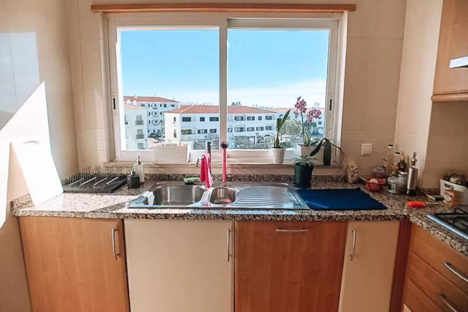 Plant Paradise Apartment-Niet-getagd