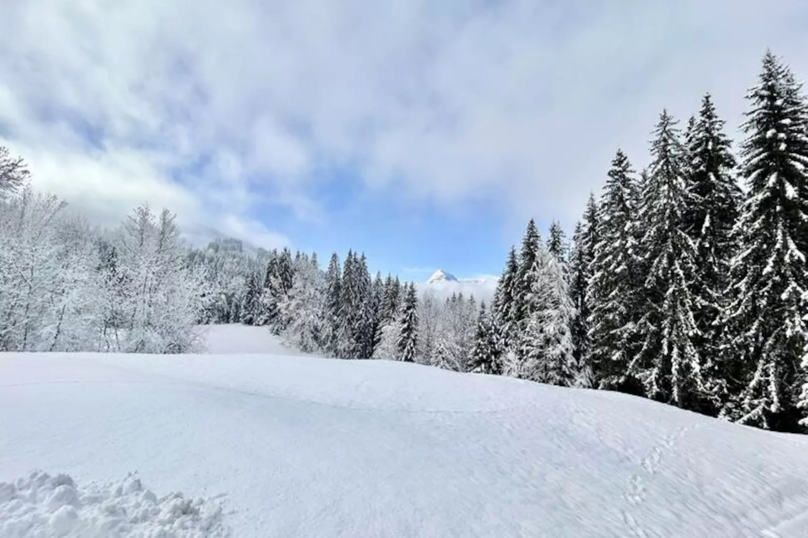 Chalet Varni-Niet-getagd