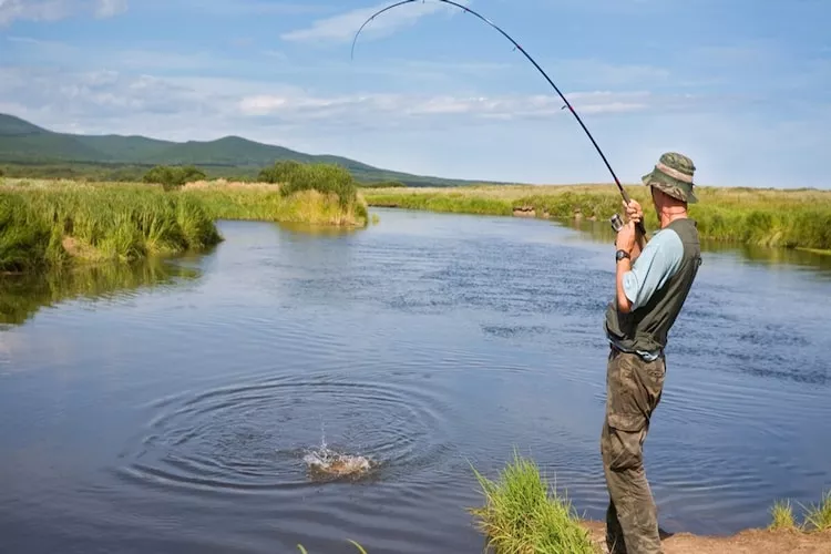 Dom wakacyjny w Szymbarku dla max 8 osób-Gebieden zomer 5km