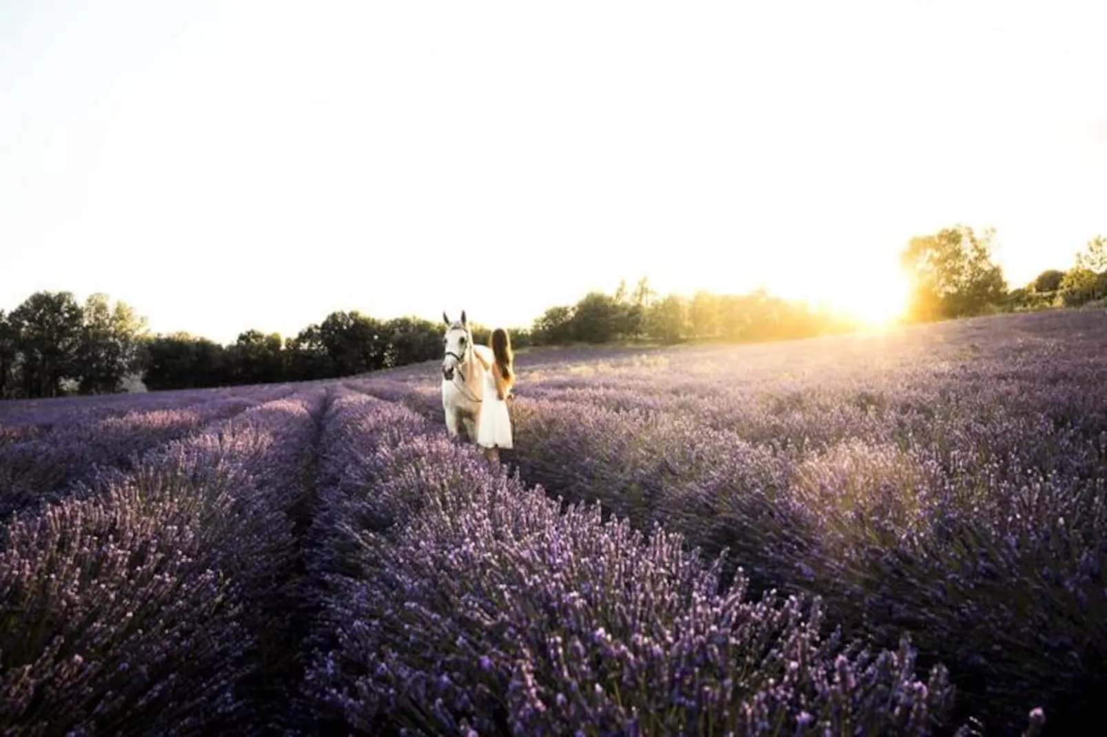 Loft En Pierre | Domaine Paradis-Niet-getagd