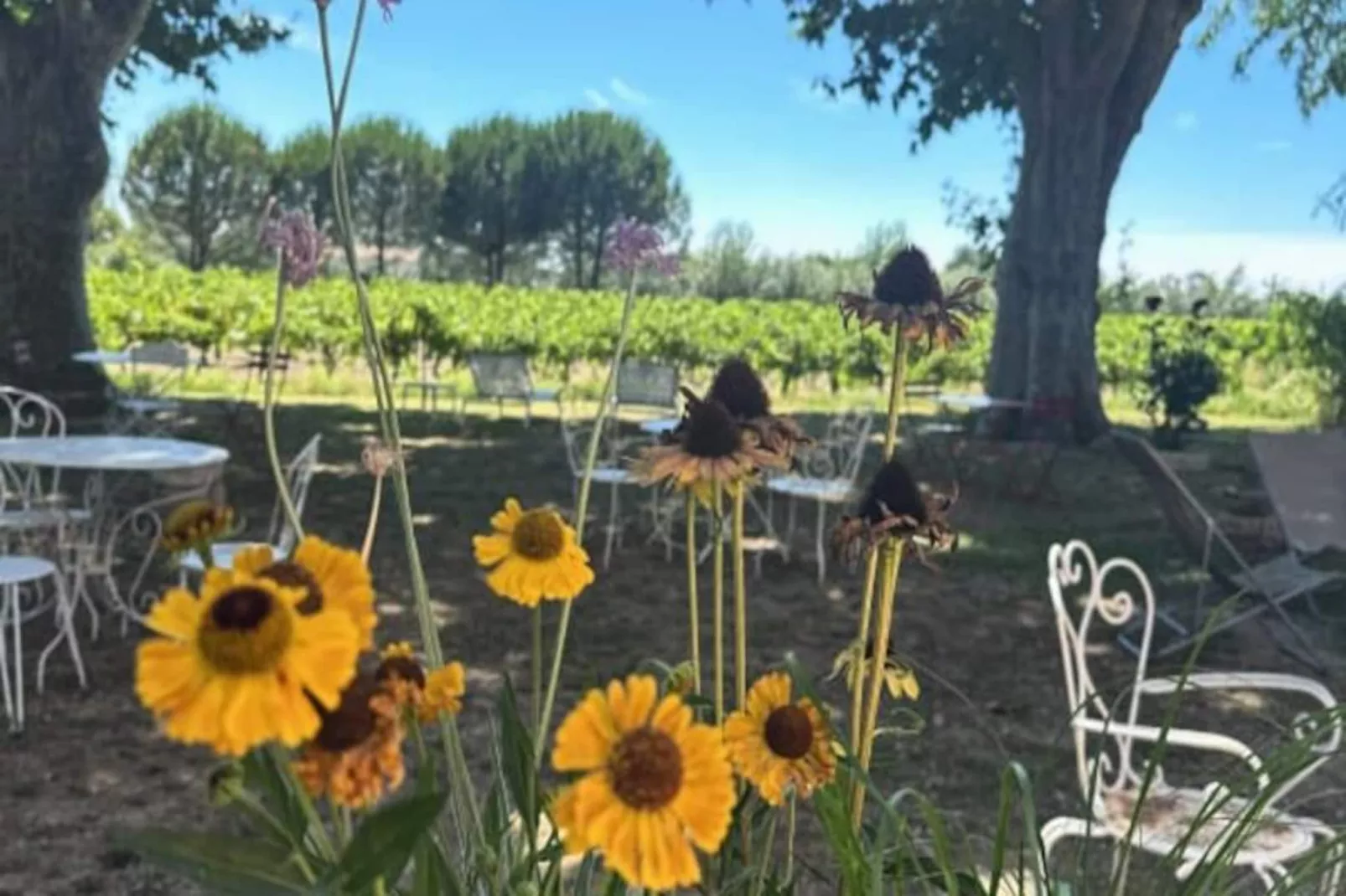 Résidence G&icirc;te De La Cave - Charmant G&icirc;te Proven&ccedil;al Avec Une Chambre-Niet-getagd