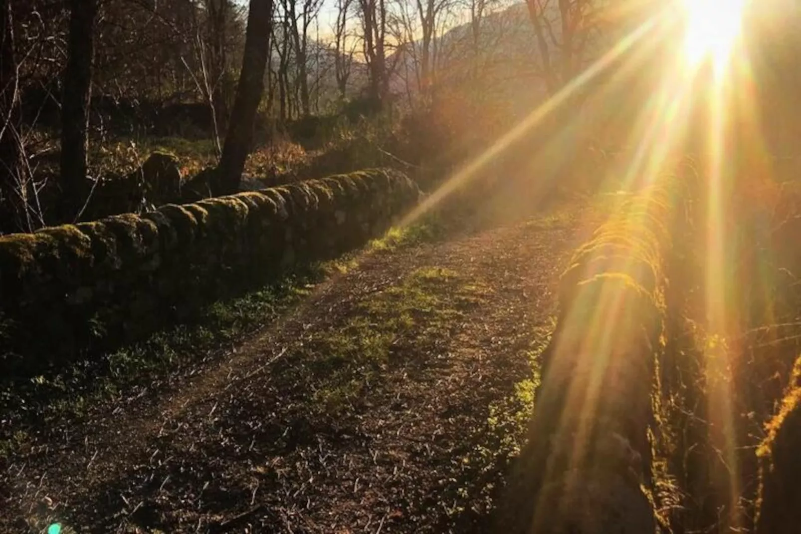 Gîte de France Le gîte du truc de balduc 3 épis-Niet-getagd