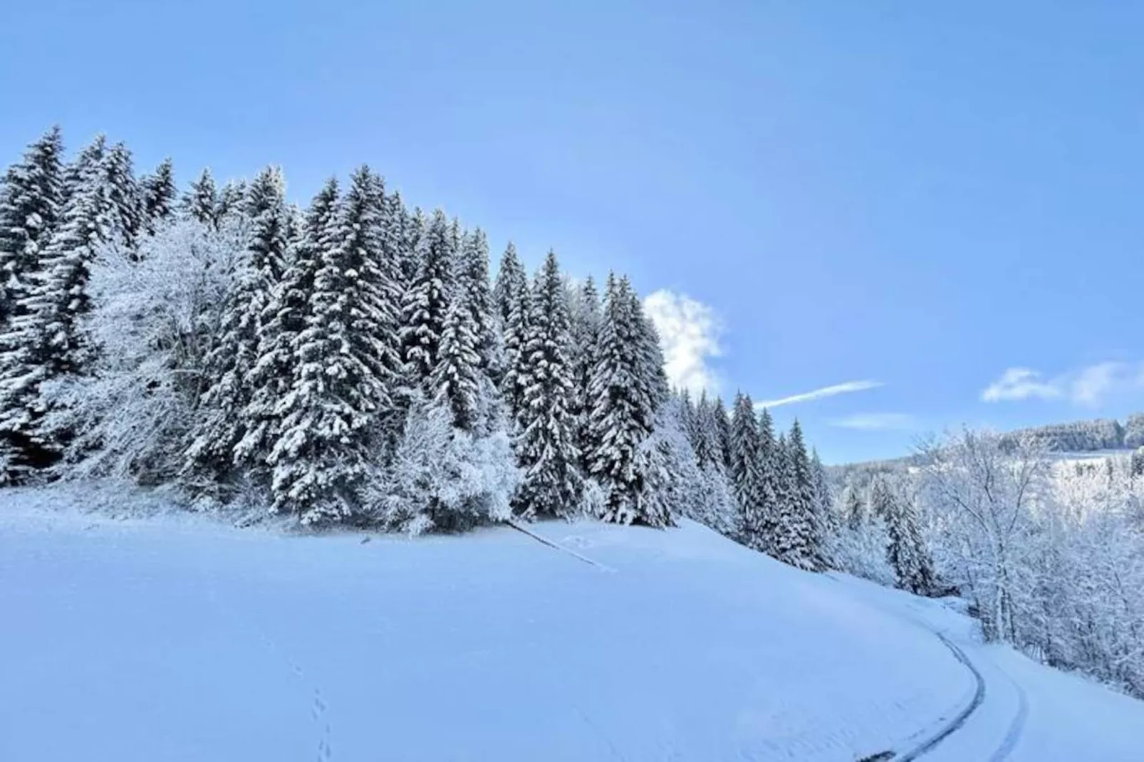 Chalet Varni-Niet-getagd