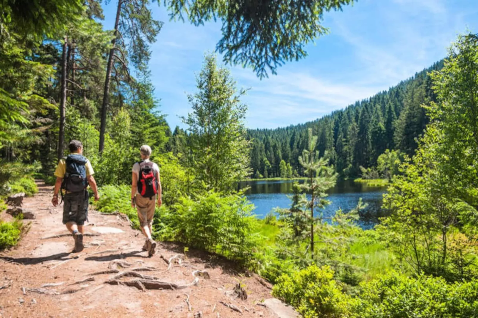 AlpResort Portes du Soleil ****-Niet-getagd