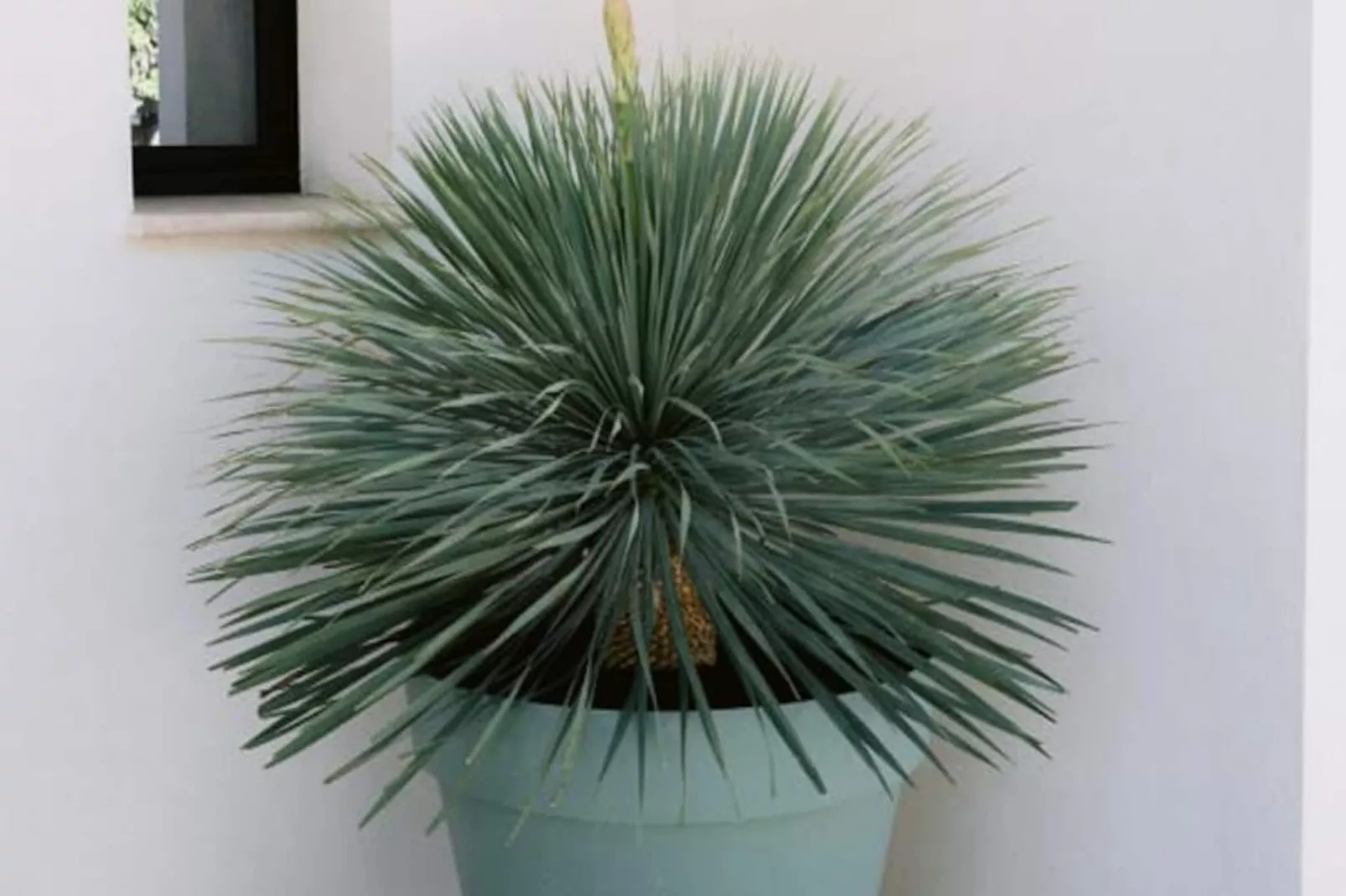 Résidence La Perle Rose Villa Standing 5 &eacute;toiles Avec Piscine Jacuzzi Et Superbe Vue-Niet-getagd