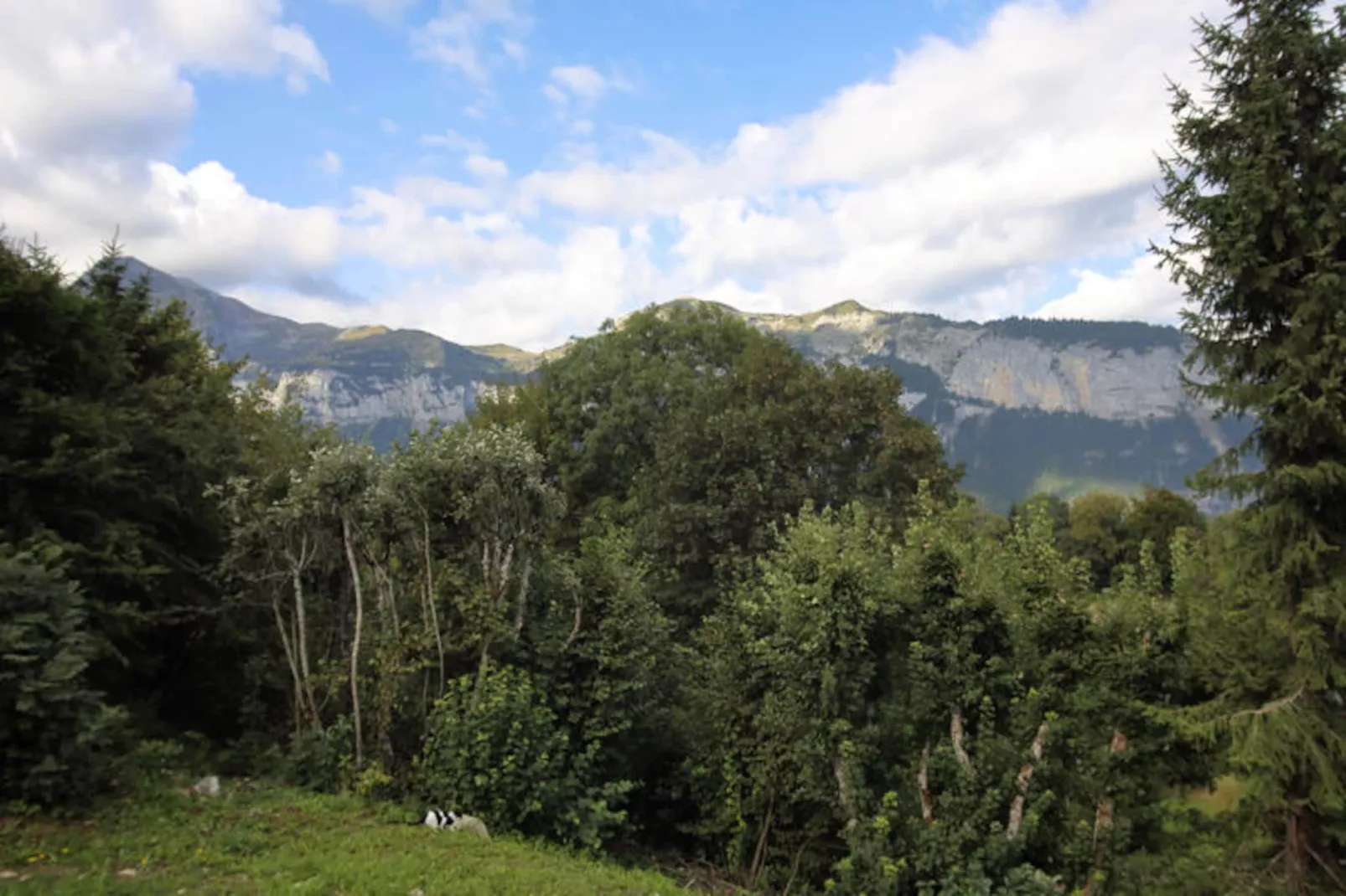 Chalets à Les Carroz-d'Arâches-Niet-getagd