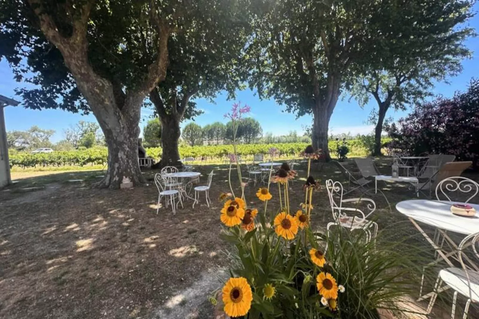 Résidence G&icirc;te De La Cave - Charmant G&icirc;te Proven&ccedil;al Avec Une Chambre-Niet-getagd