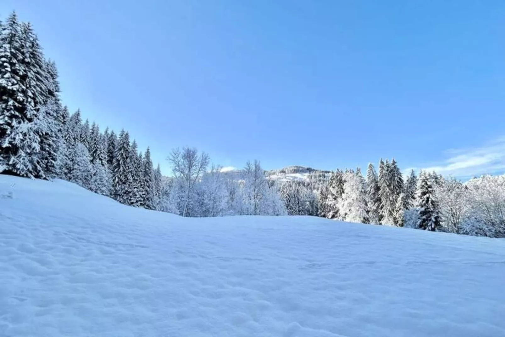 Chalet Varni-Niet-getagd