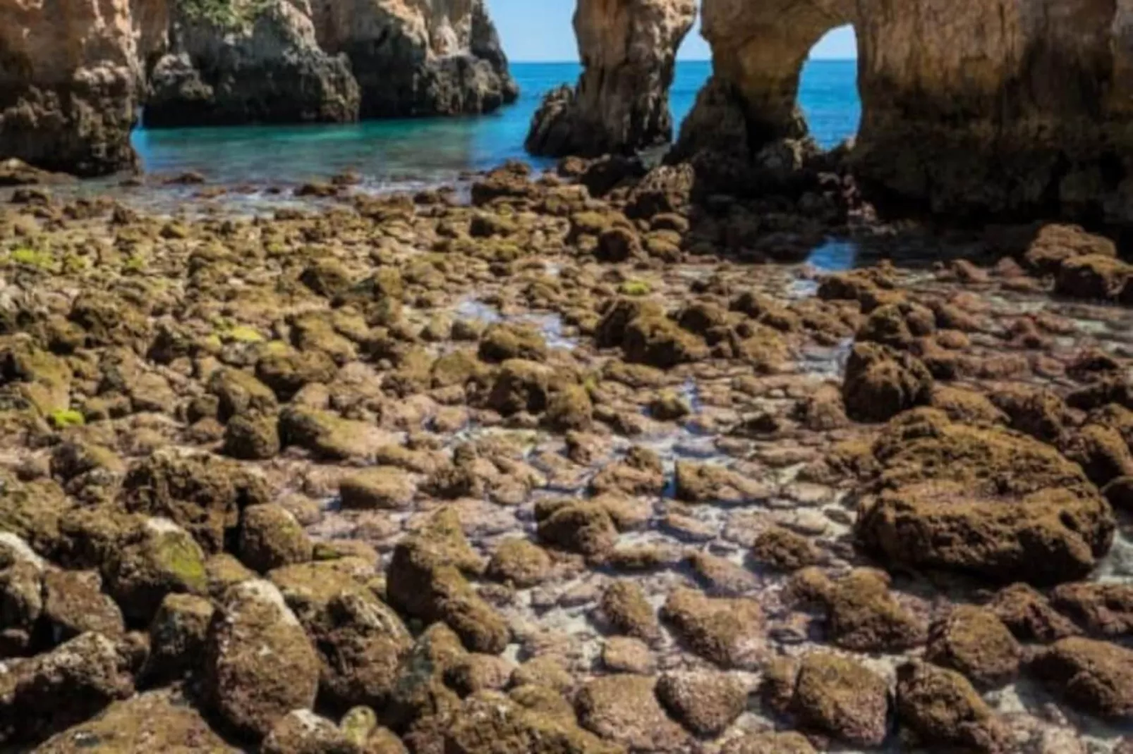 Ramalhete Panoramic View Apartment-Niet-getagd