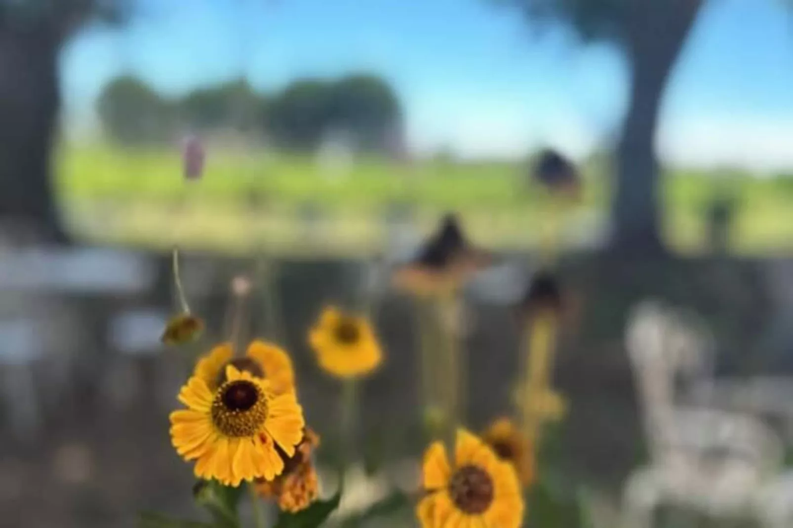 Résidence G&icirc;te De La Cave - Charmant G&icirc;te Proven&ccedil;al Avec Une Chambre-Niet-getagd