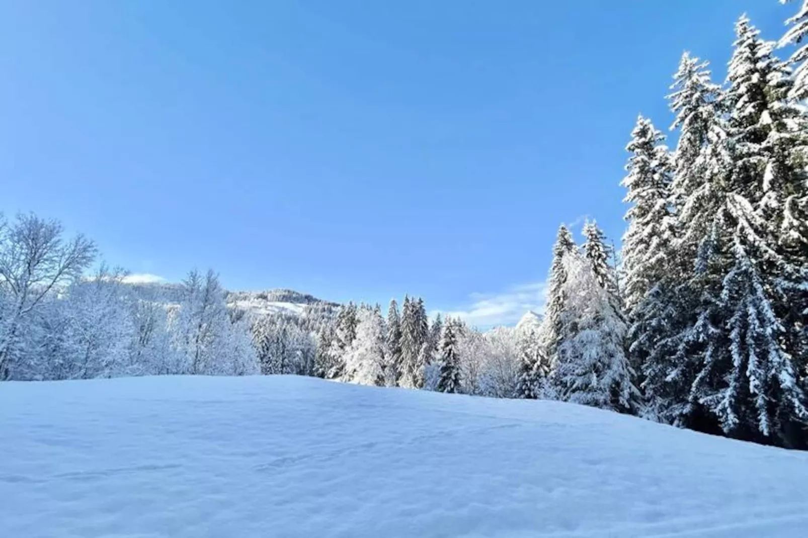 Chalet Varni-Niet-getagd