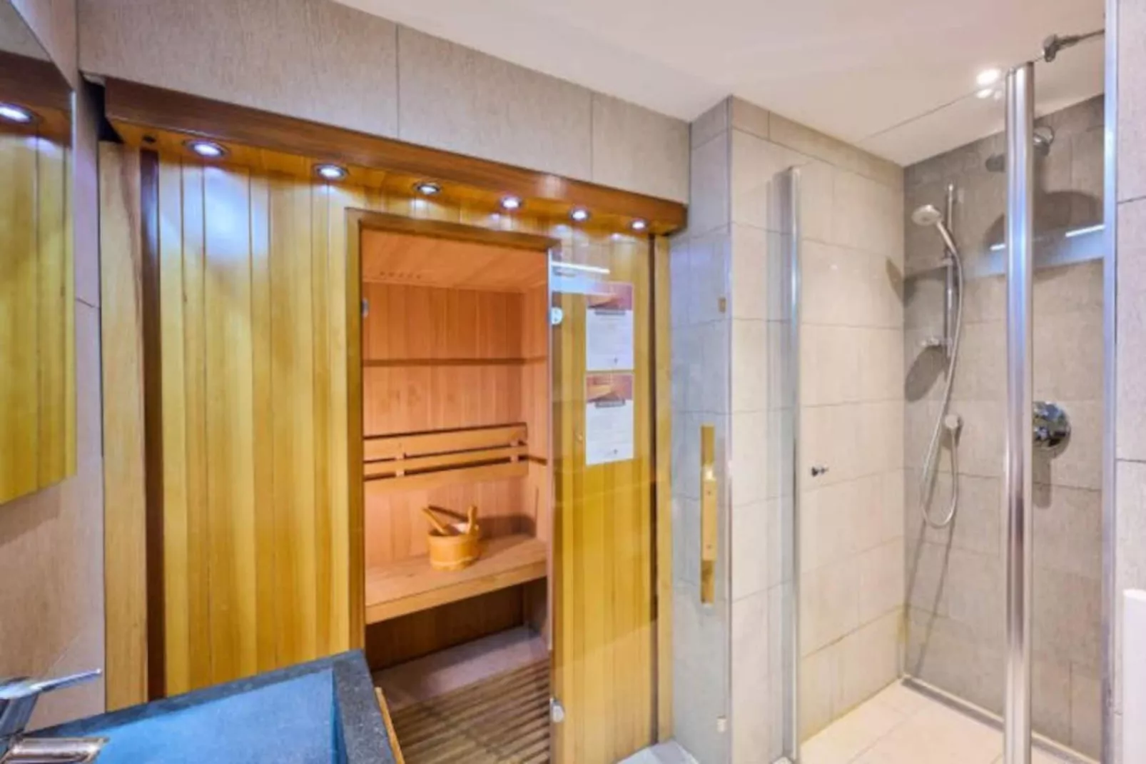 AlpResort Portes du Soleil ****-Niet-getagd