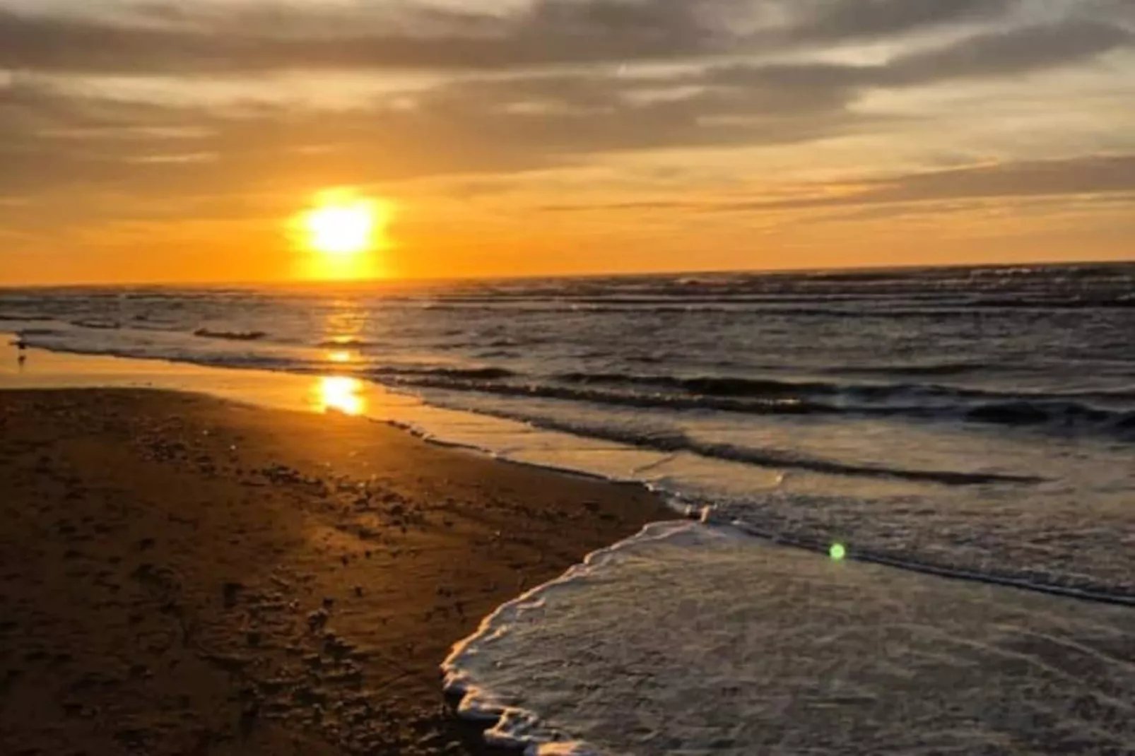 Oasis Zandvoort - Parking Gratuit-Niet-getagd
