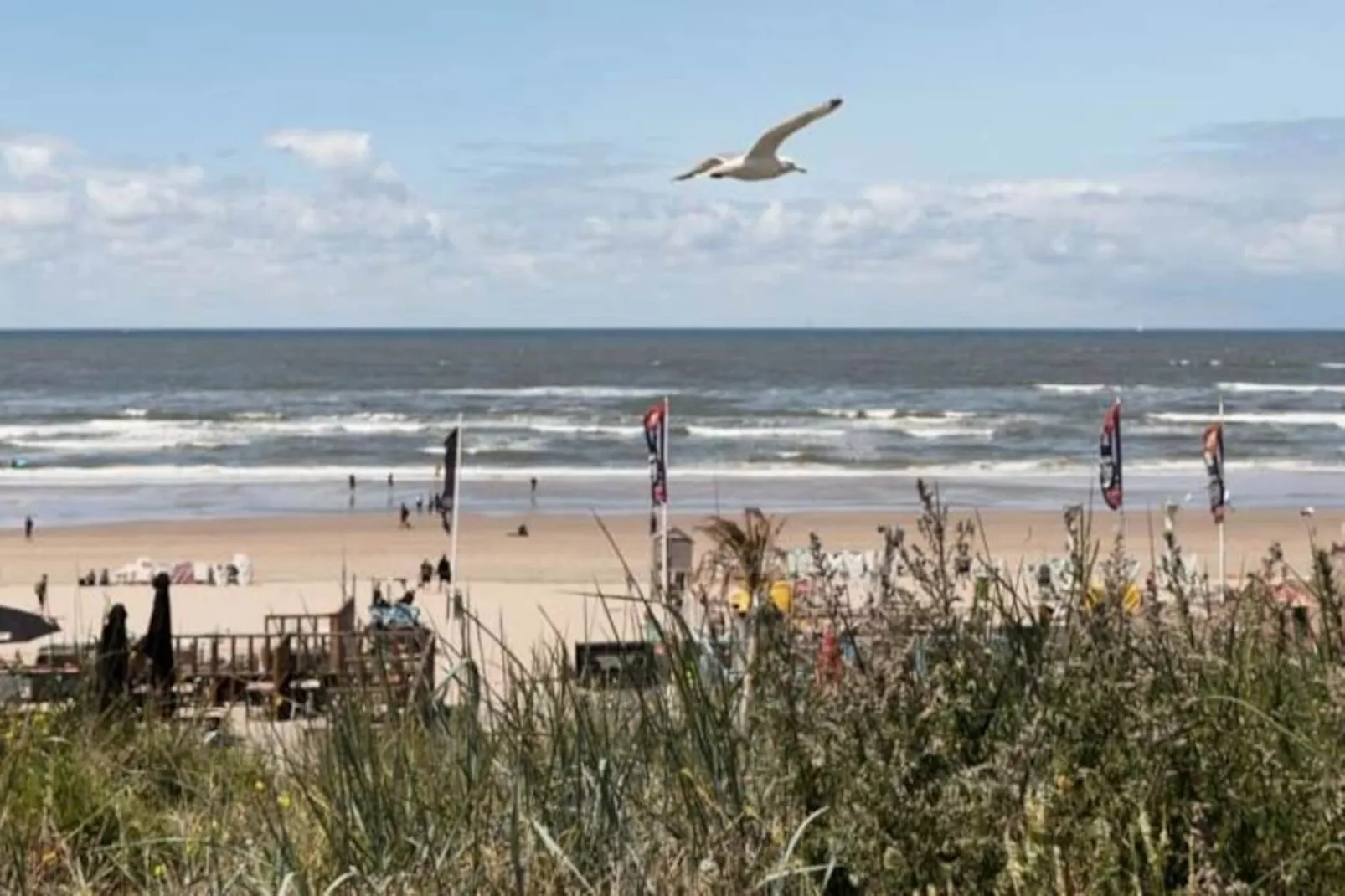 The Beach & Town Suite-Niet-getagd