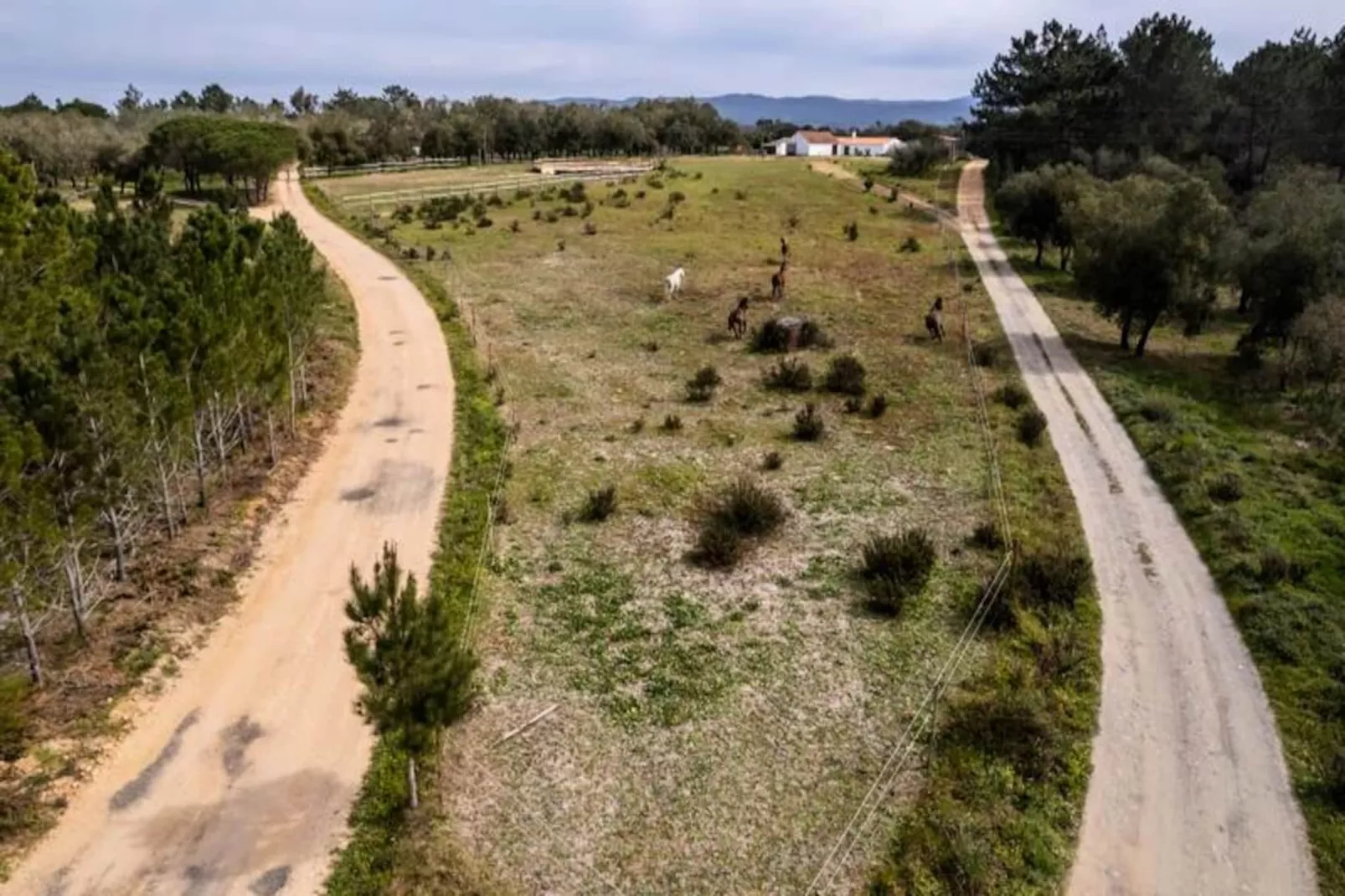 Casinha Da Paz-Niet-getagd