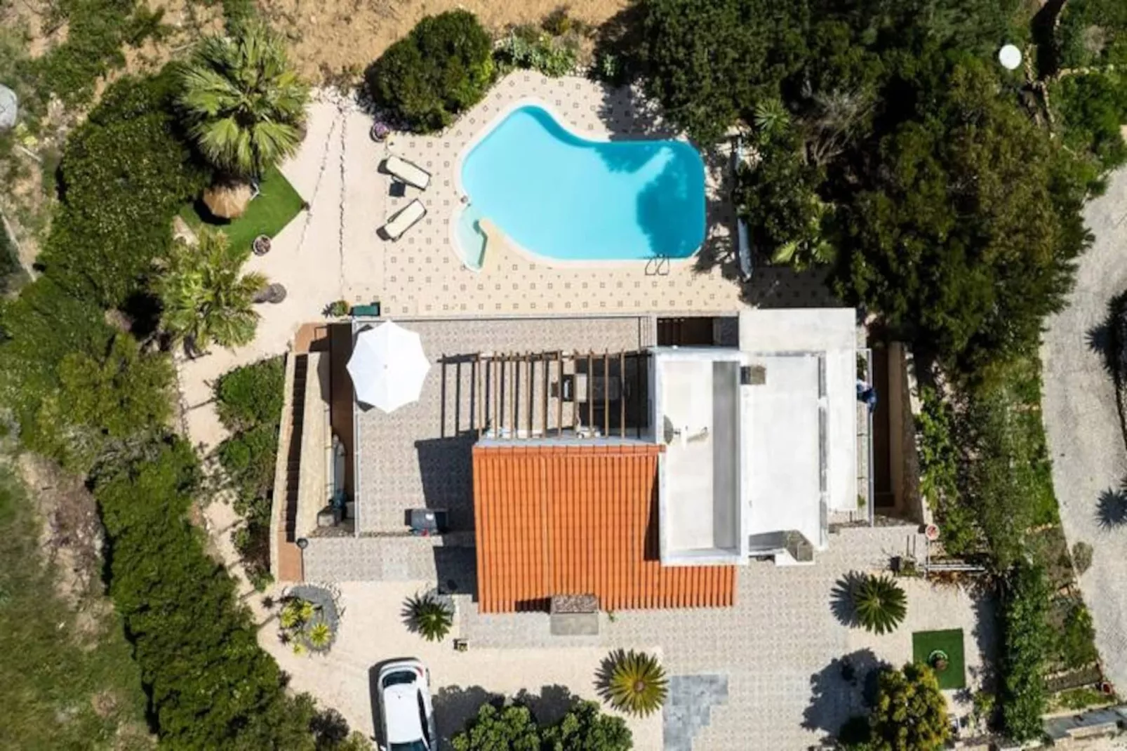 Duas Palmeiras-Niet-getagd