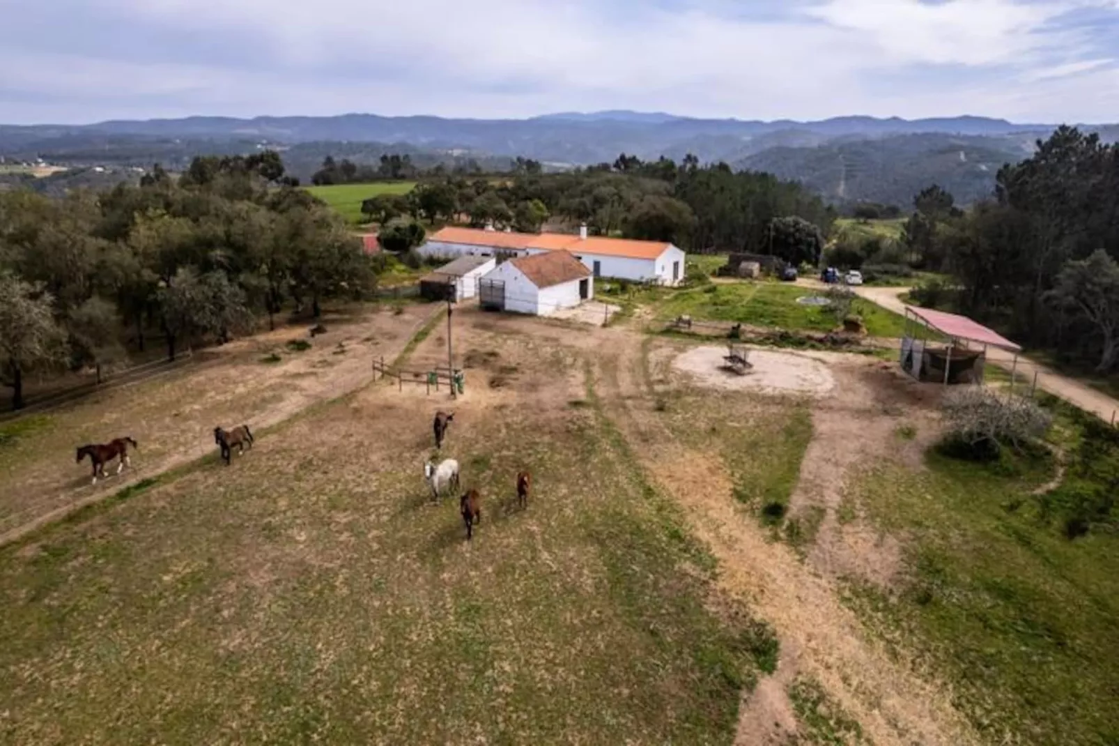 Casinha Da Paz-Niet-getagd