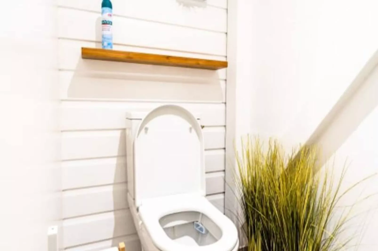 Villa Moca - Niet-getagd