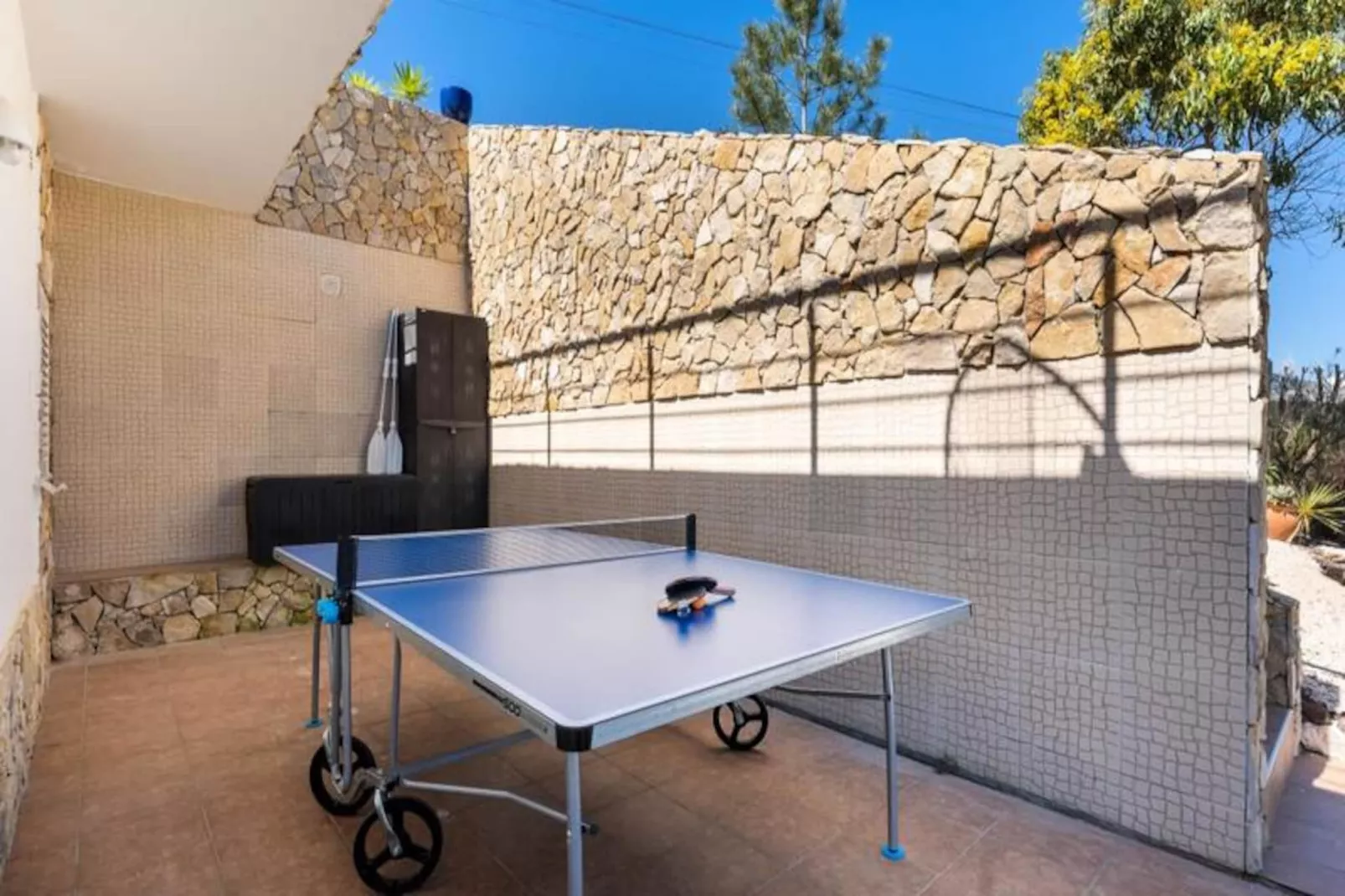 Duas Palmeiras-Niet-getagd