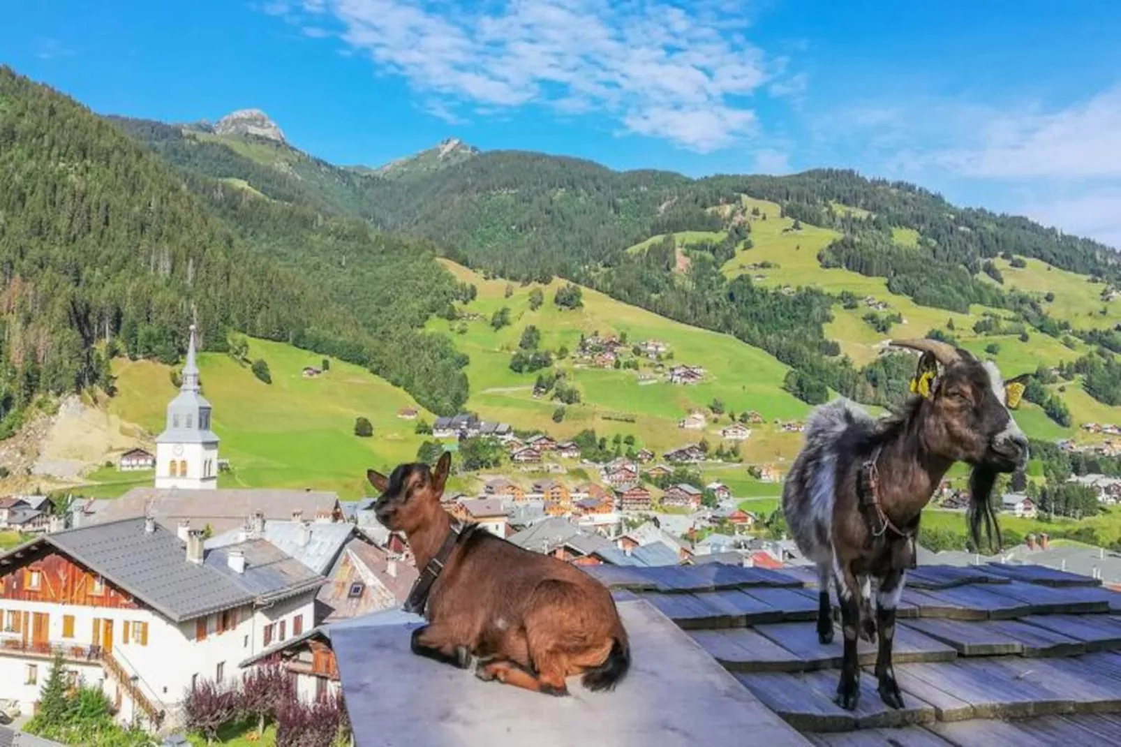 AlpChalets Portes du Soleil *****-Niet-getagd