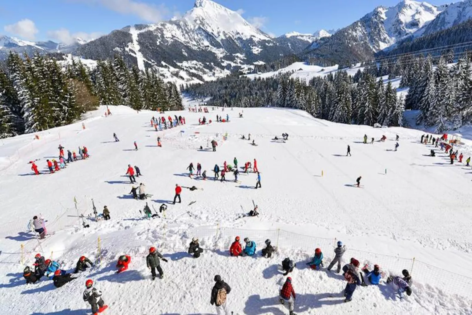 AlpChalets Portes du Soleil *****-Niet-getagd