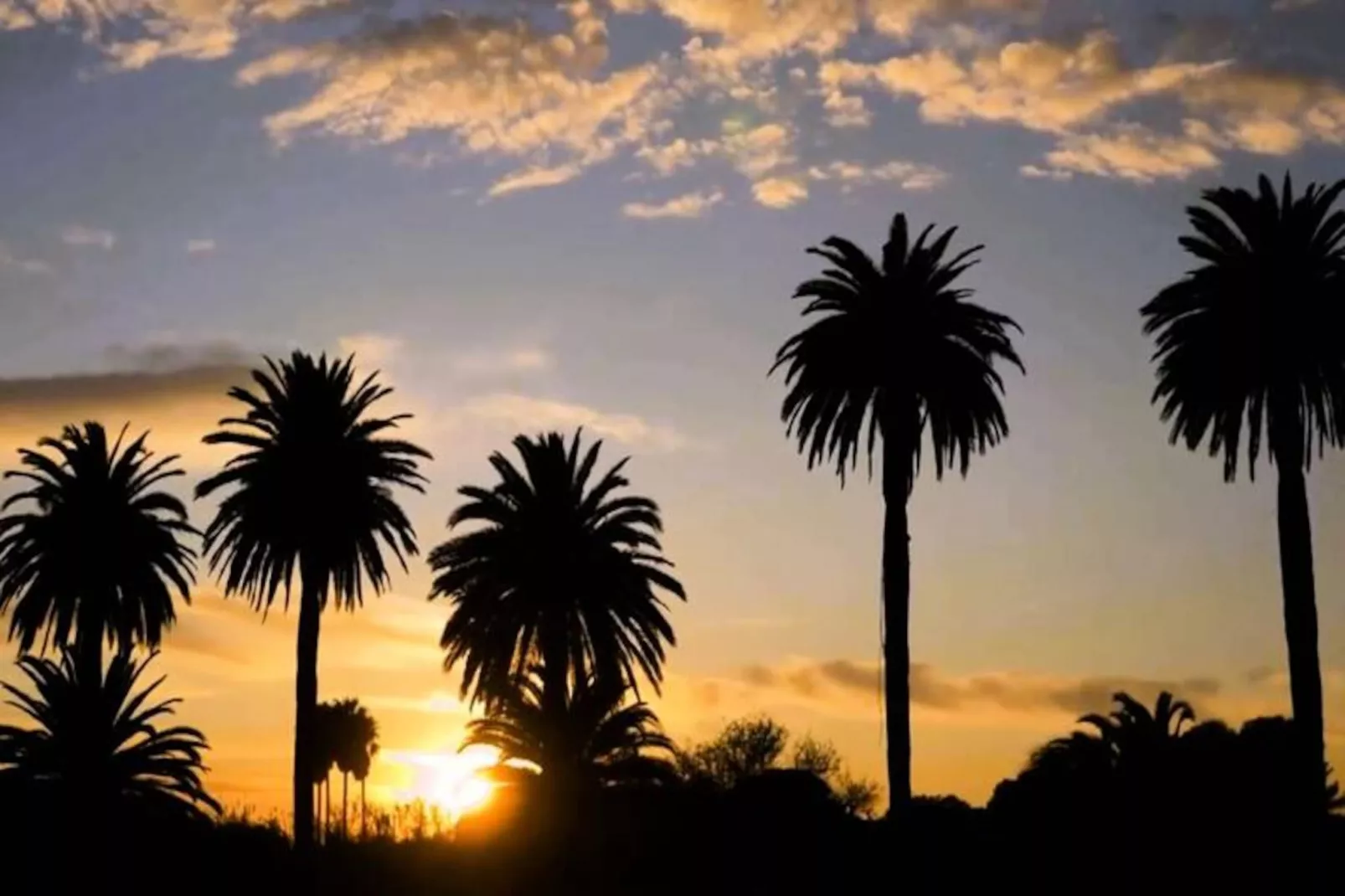 Résidence La Tancade-hyeres-Niet-getagd