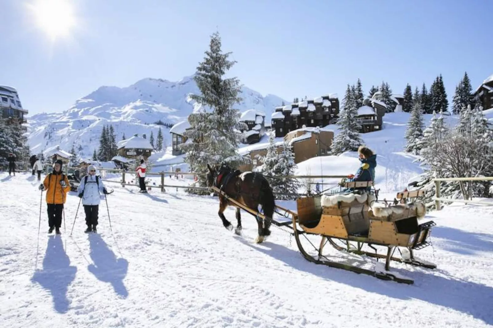 AlpChalets Portes du Soleil *****-Niet-getagd